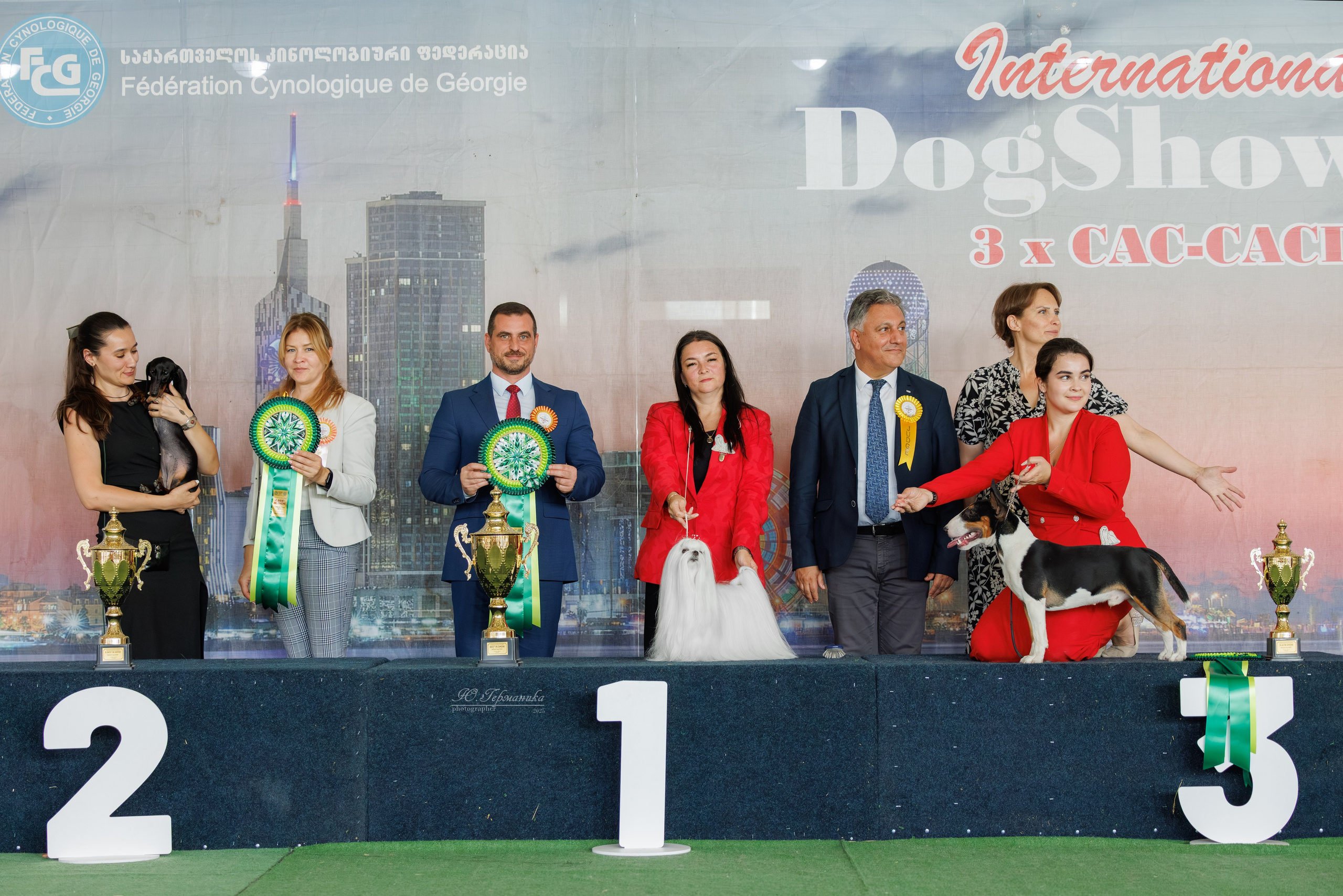 Батуми 3хCACIB 27-29.06.2025. Фотограф-анималист Юлия Германика