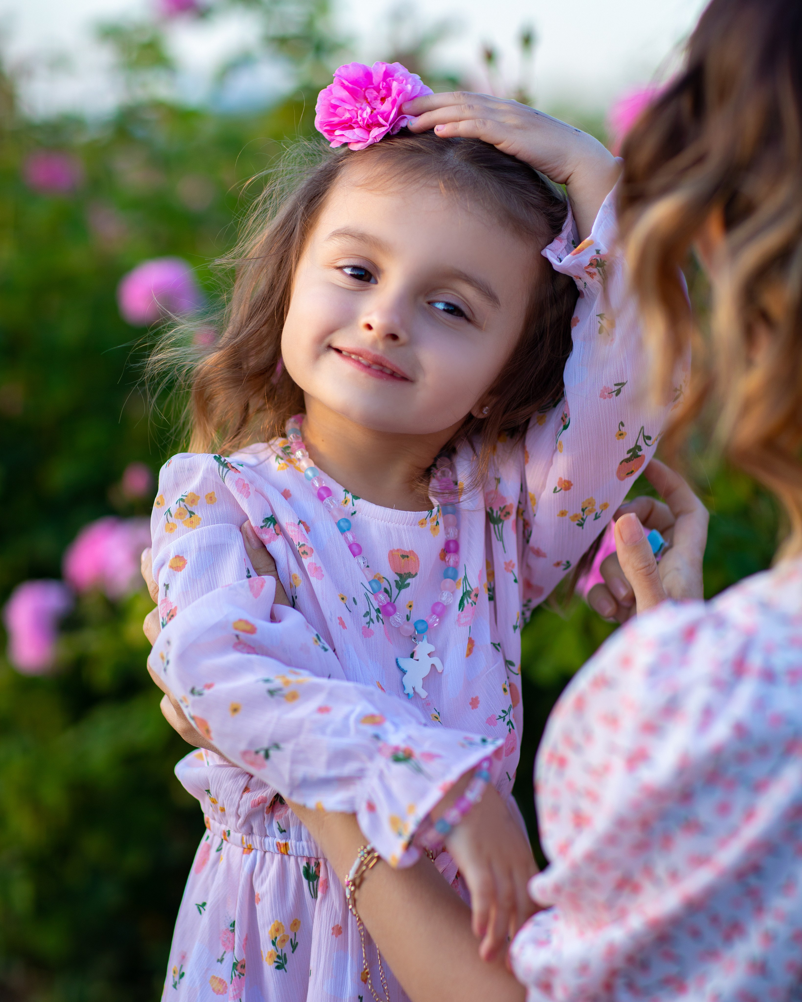 Чайная роза. Фотограф Севастополь/Крым Светлана Евтушенко