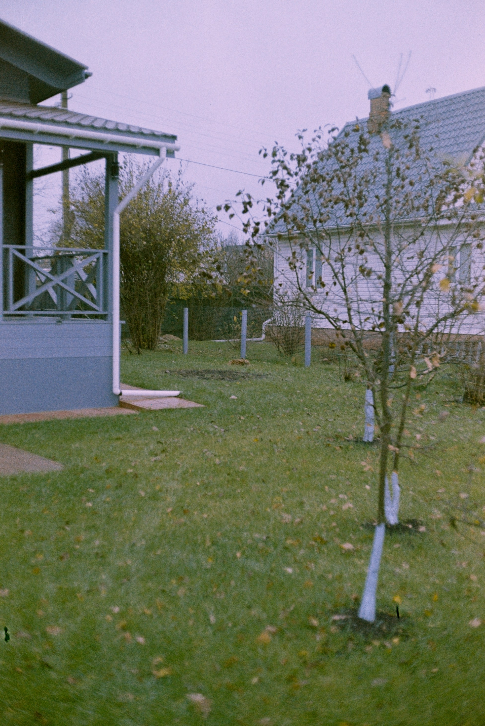 Minolta Hi-Matic 7sII / Kodak Color Plus 200 (просрочка)