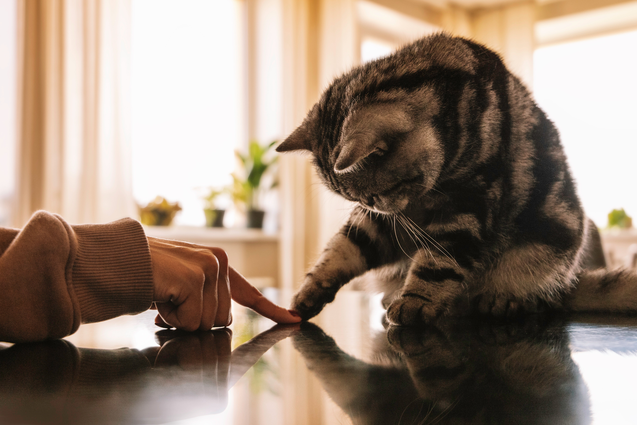 Макоша, Оля и Адриан. Фотограф — Анималист | Санкт-Петербург