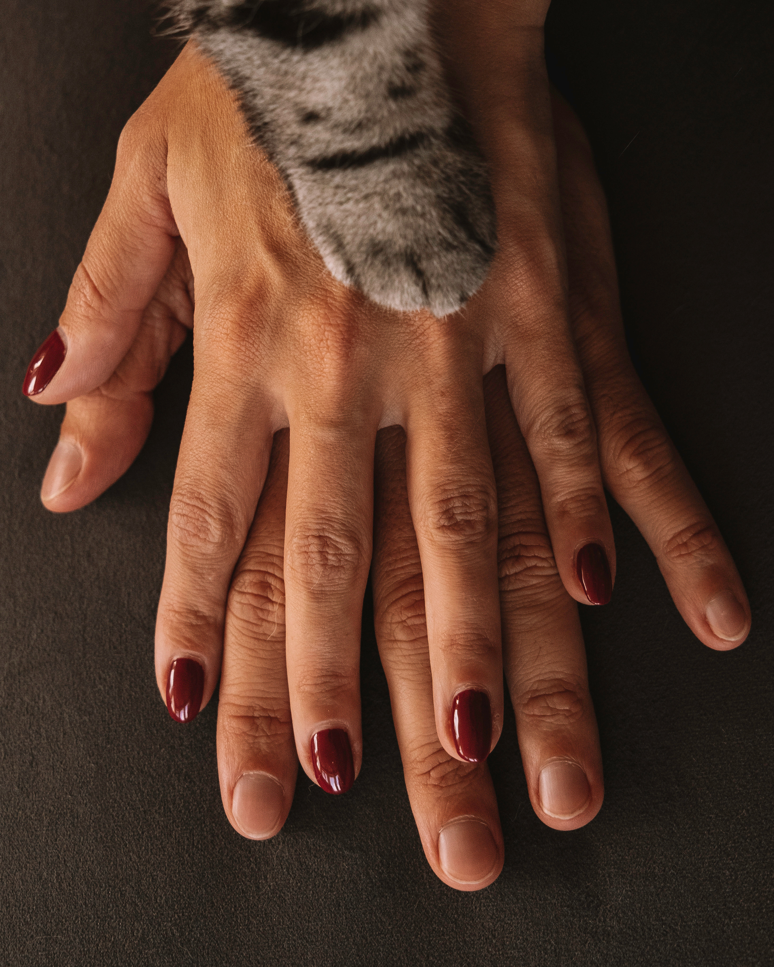 Макоша, Оля и Адриан. Фотограф — Анималист | Санкт-Петербург