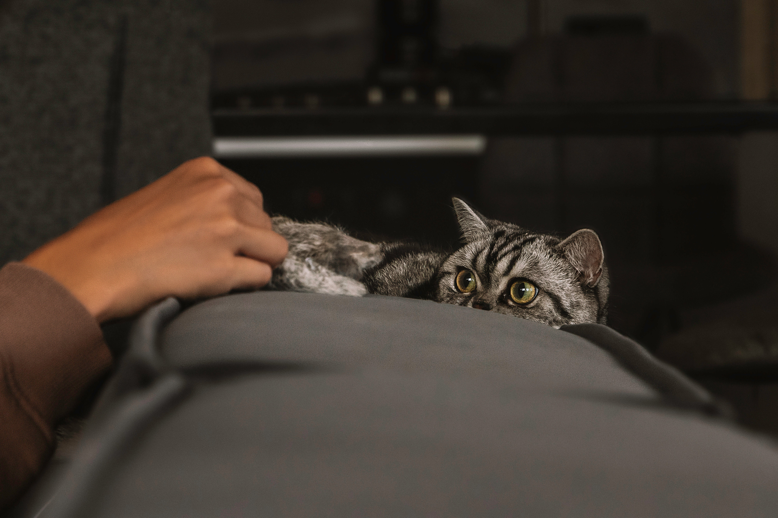 Макоша, Оля и Адриан. Фотограф — Анималист | Санкт-Петербург