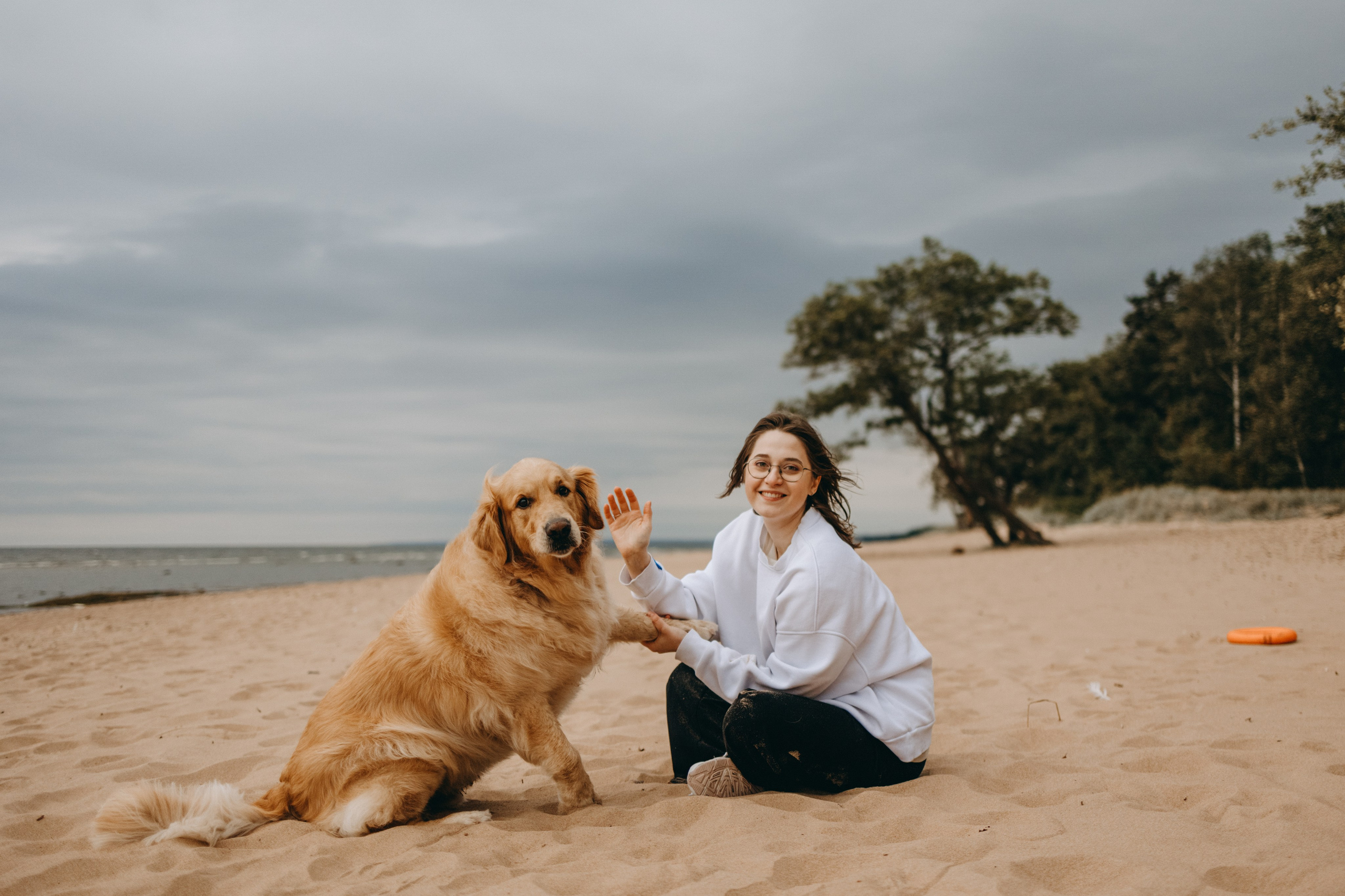 Фоси и его семьи. Фотограф — Анималист | Санкт-Петербург