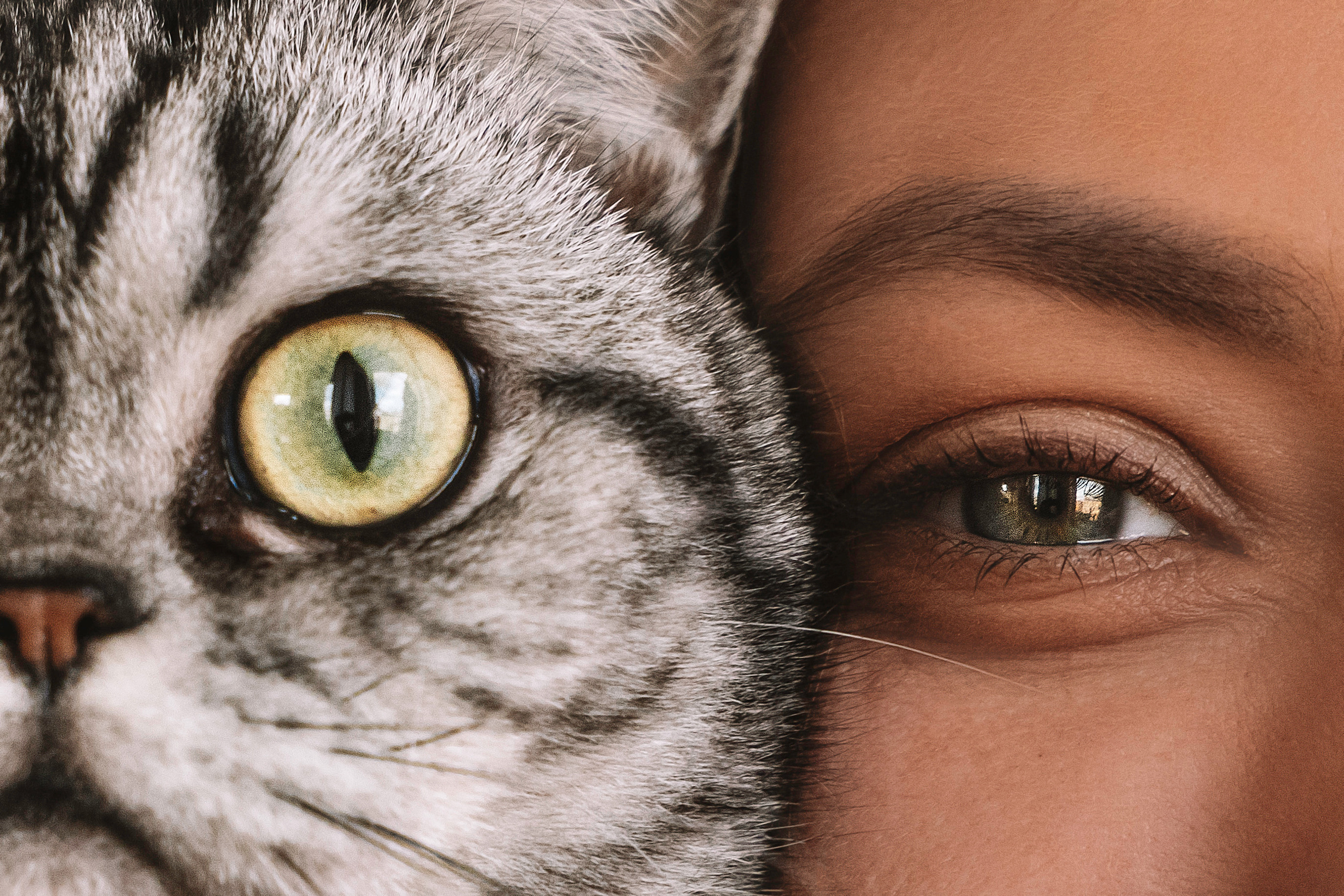 Макоша, Оля и Адриан. Фотограф — Анималист | Санкт-Петербург