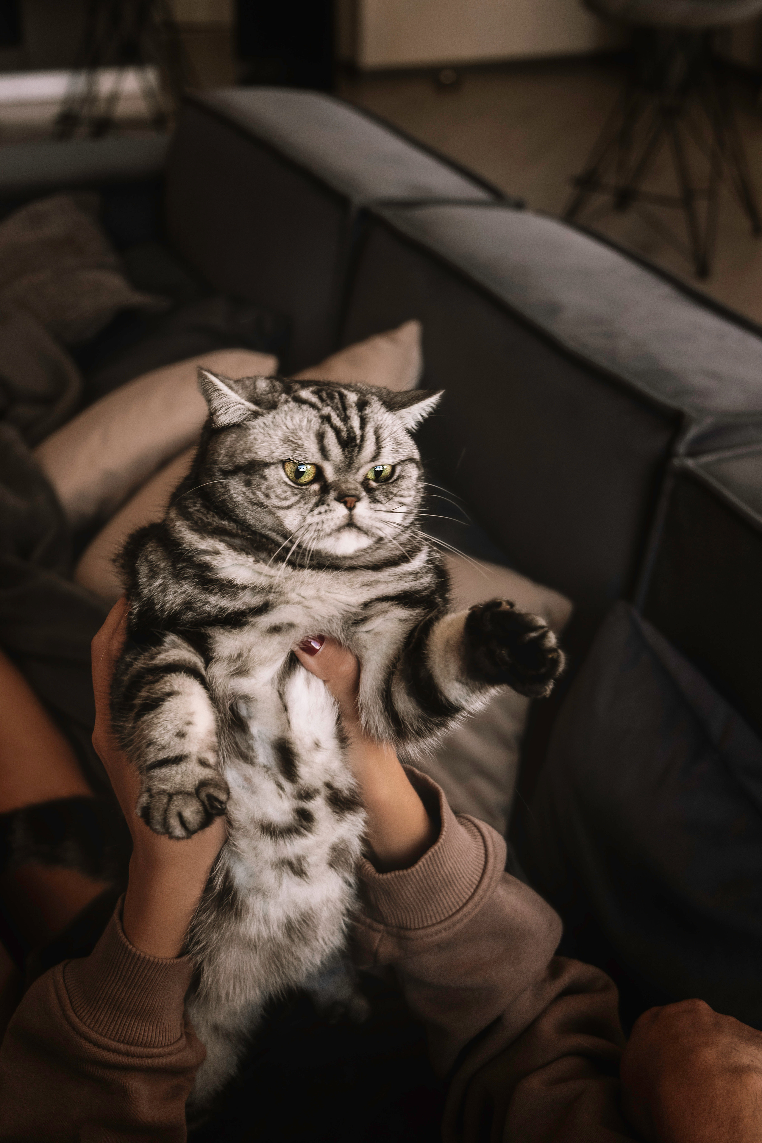 Макоша, Оля и Адриан. Фотограф — Анималист | Санкт-Петербург