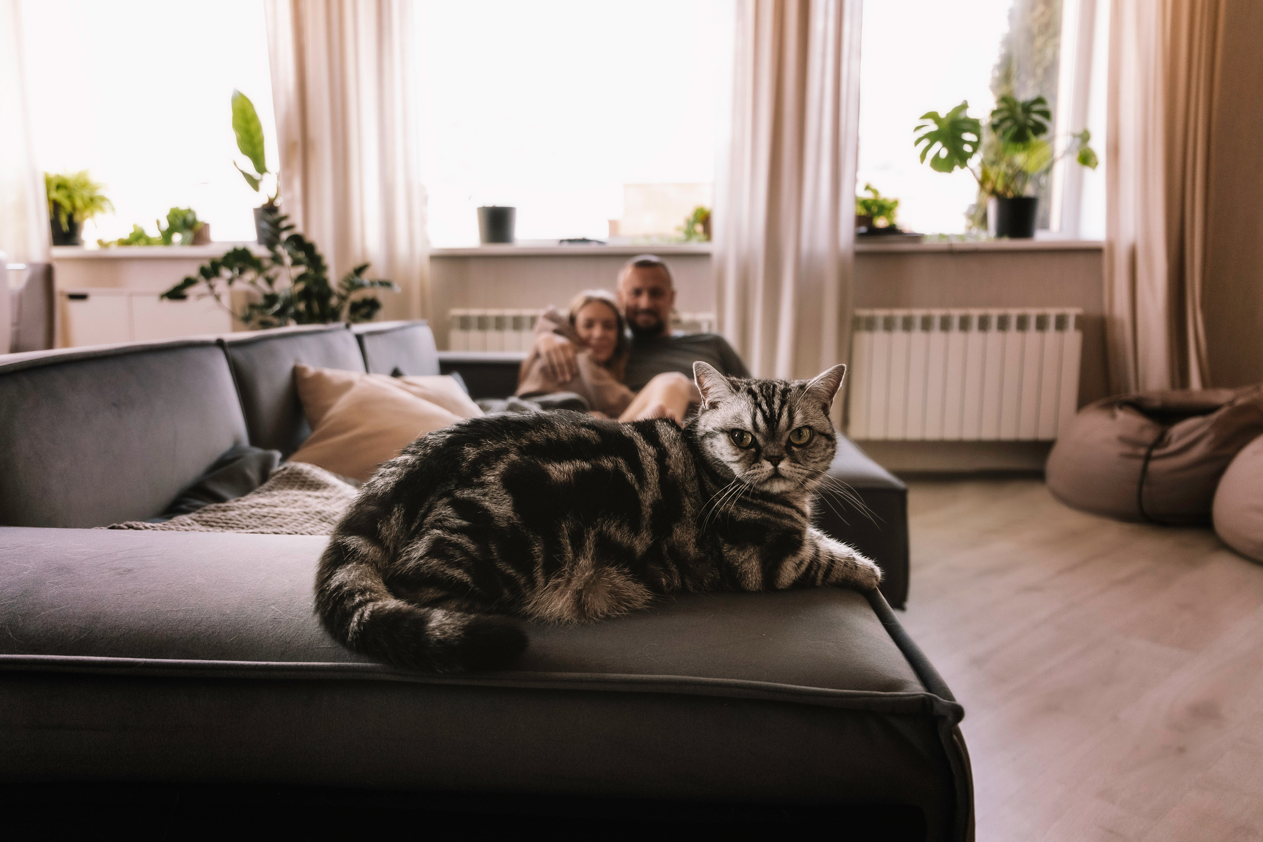 Макоша, Оля и Адриан. Фотограф — Анималист | Санкт-Петербург