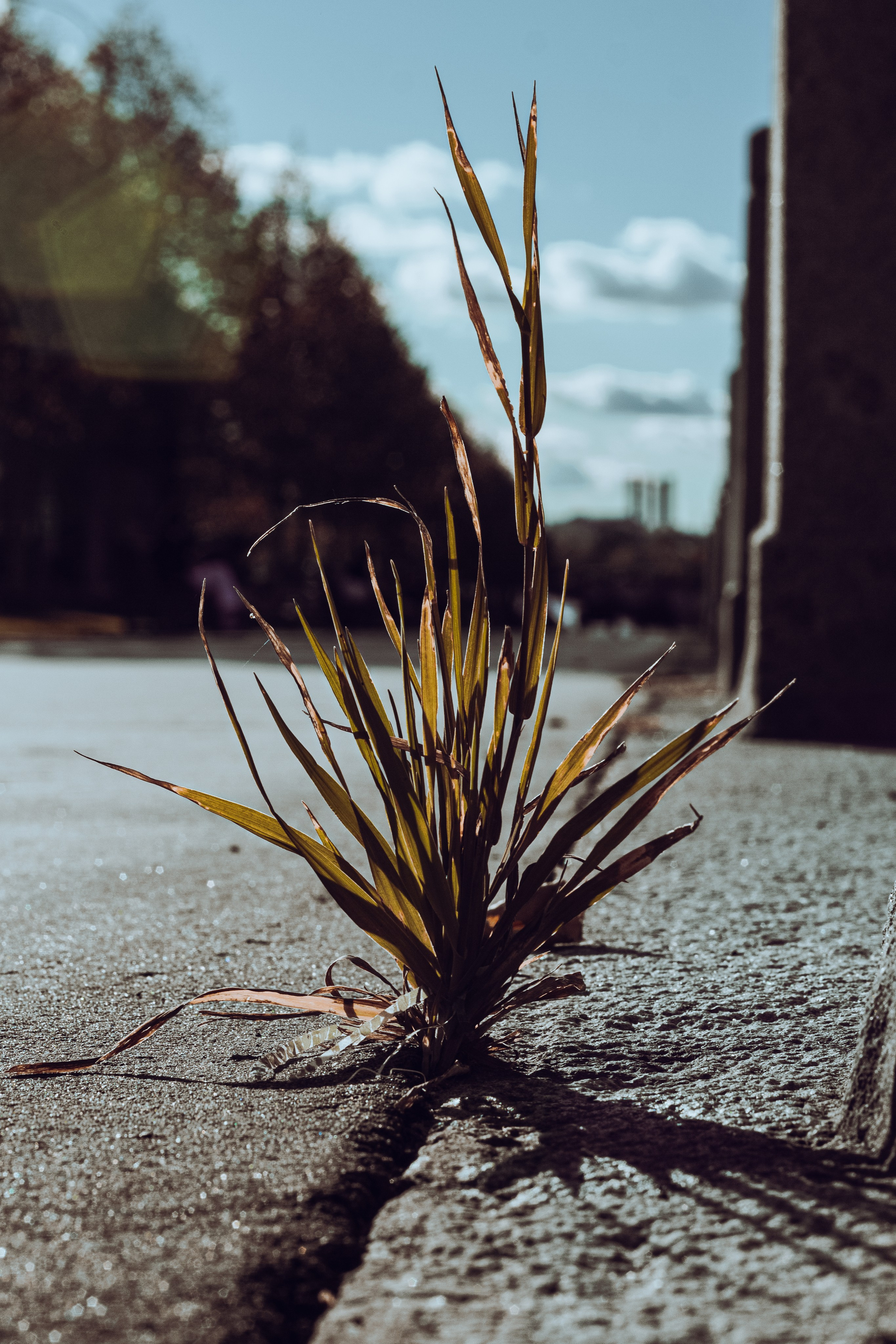 Москва, такая Москва. Фотограф Москва, портрет, стрит, репортаж. Художественная фотосессия