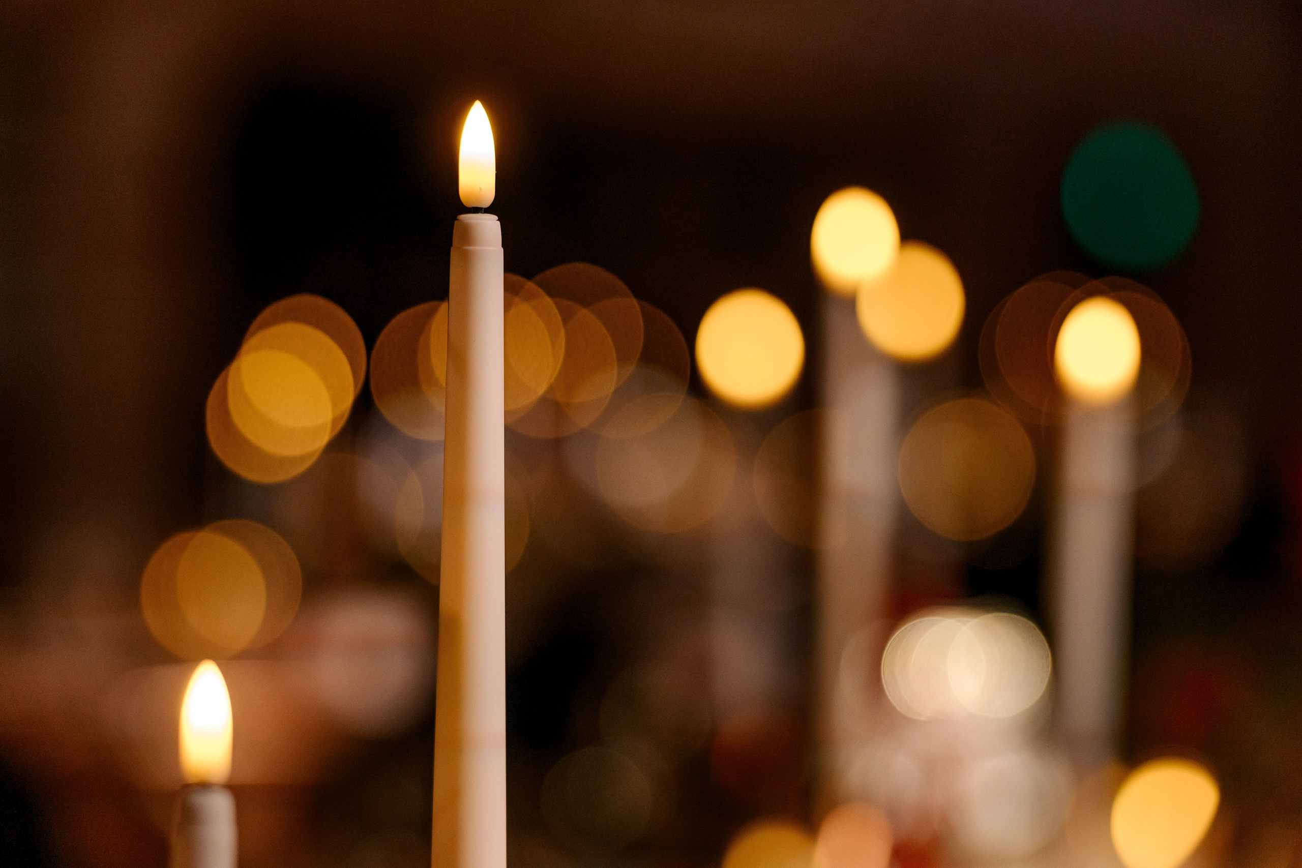 Chamovskikh Jewellery House. Максим Комаров — Профессиональный фотограф