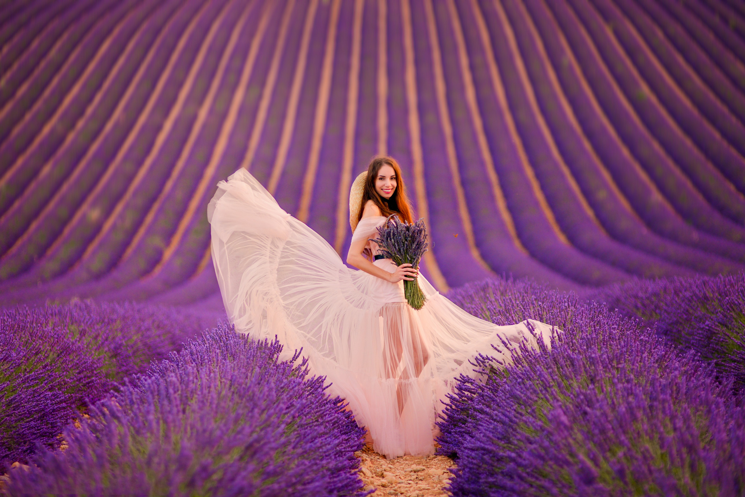 Lavender. Photographer in Provence Julia Lipiainen