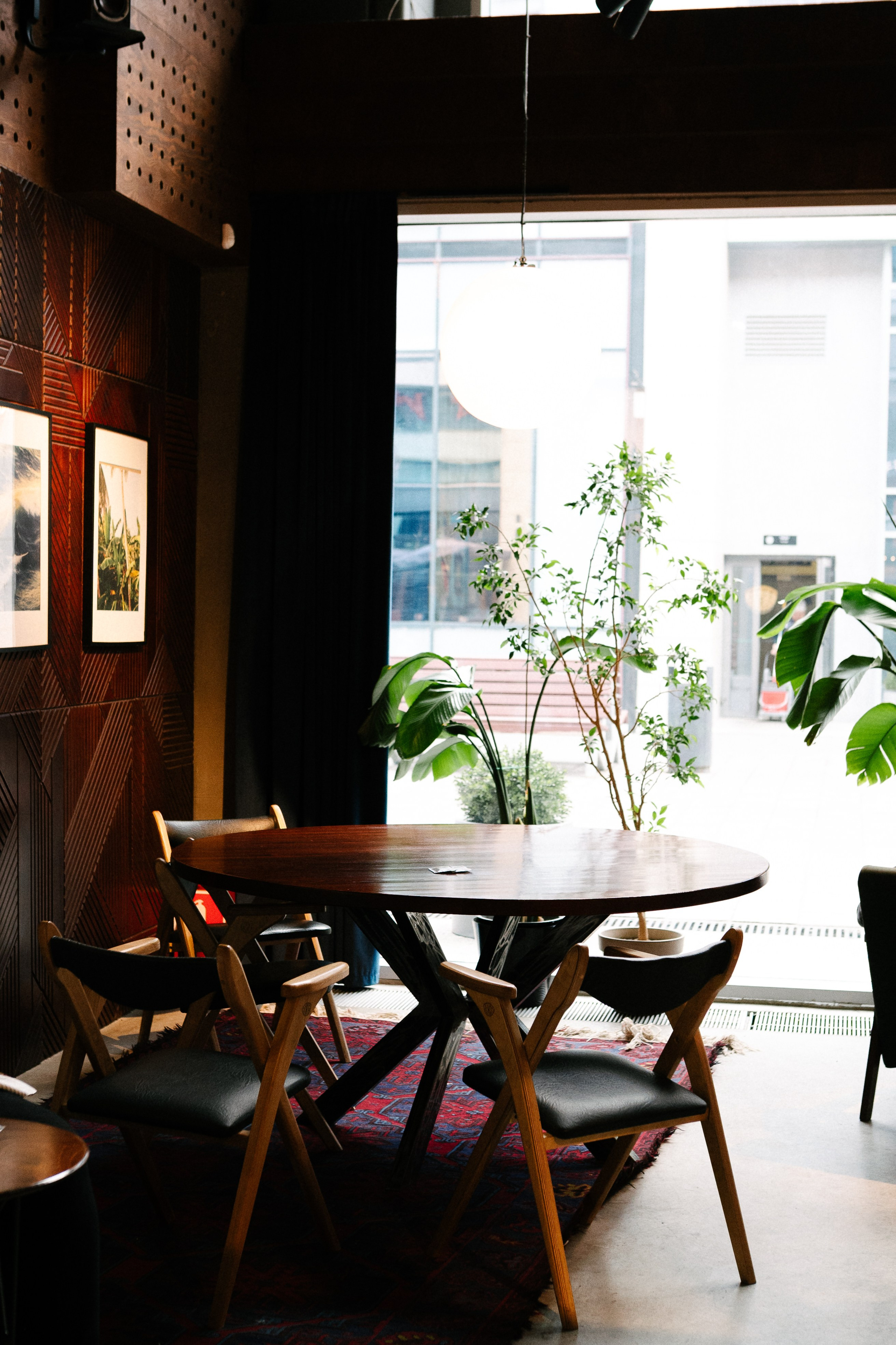 Рыжая команда. Фотограф анималист в Москве Ольга Агушева