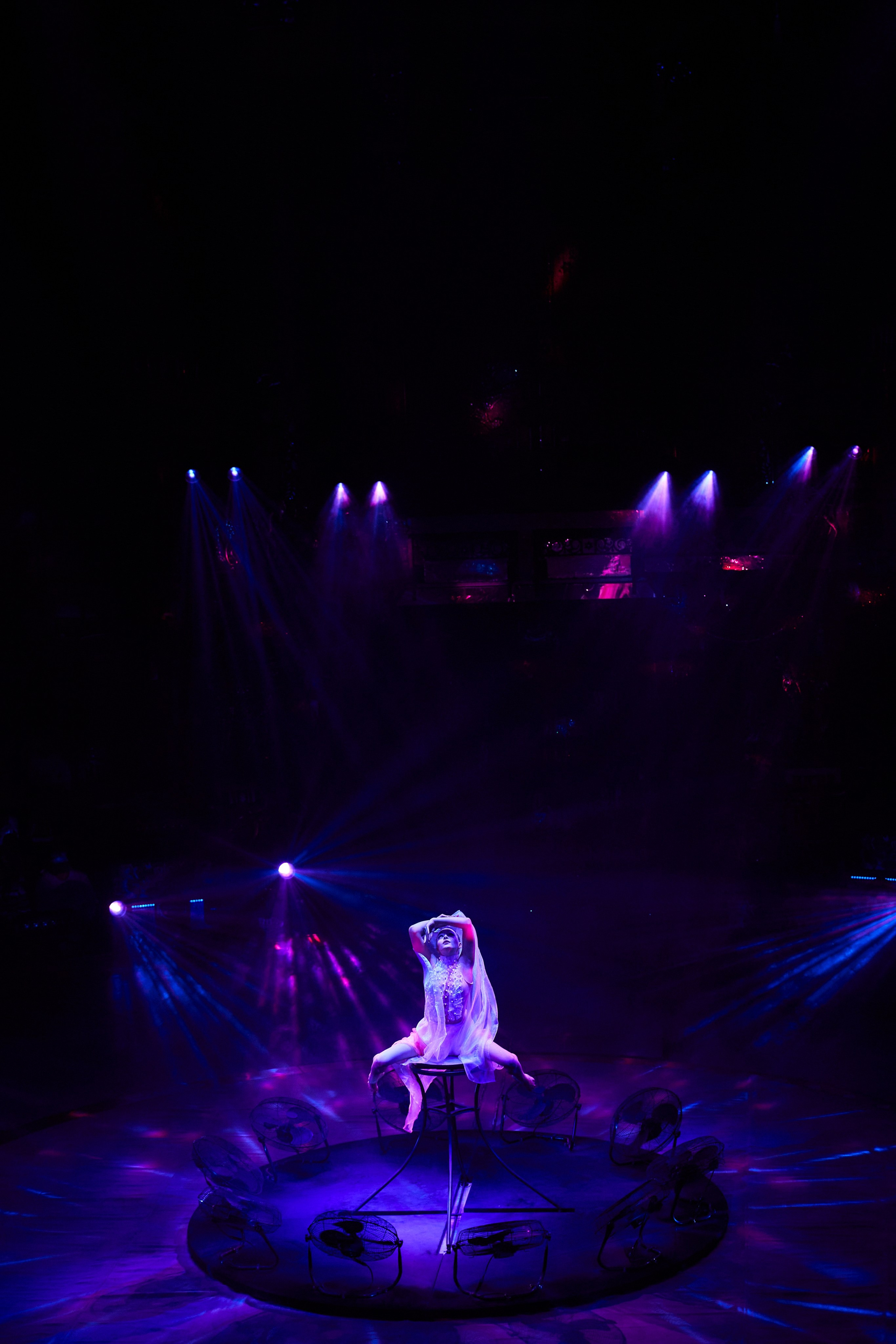 Королевский цирк Гии Эрадзе. Свадебный и семейный фотограф