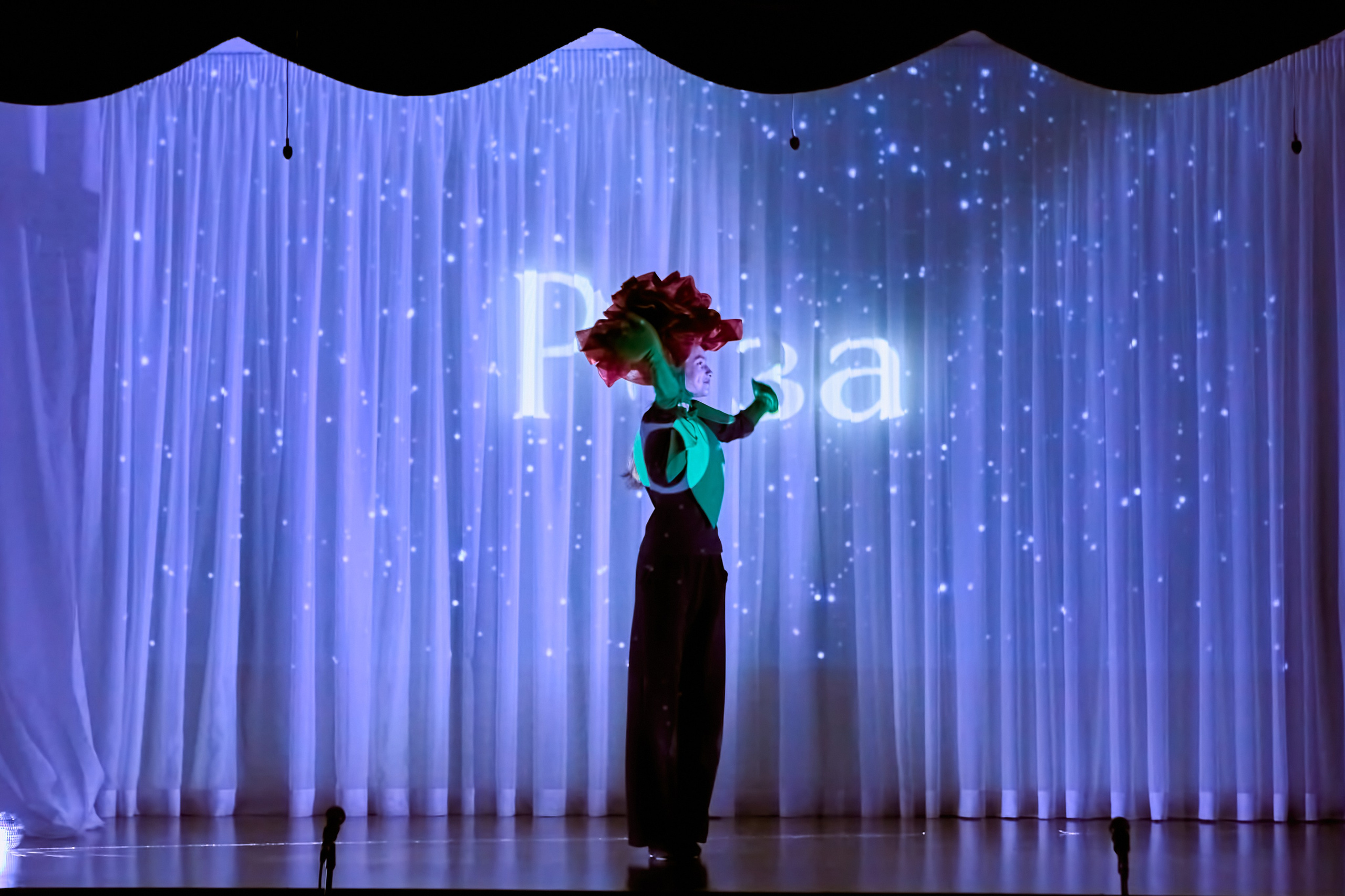 Фотографии с премьеры Маленький принц