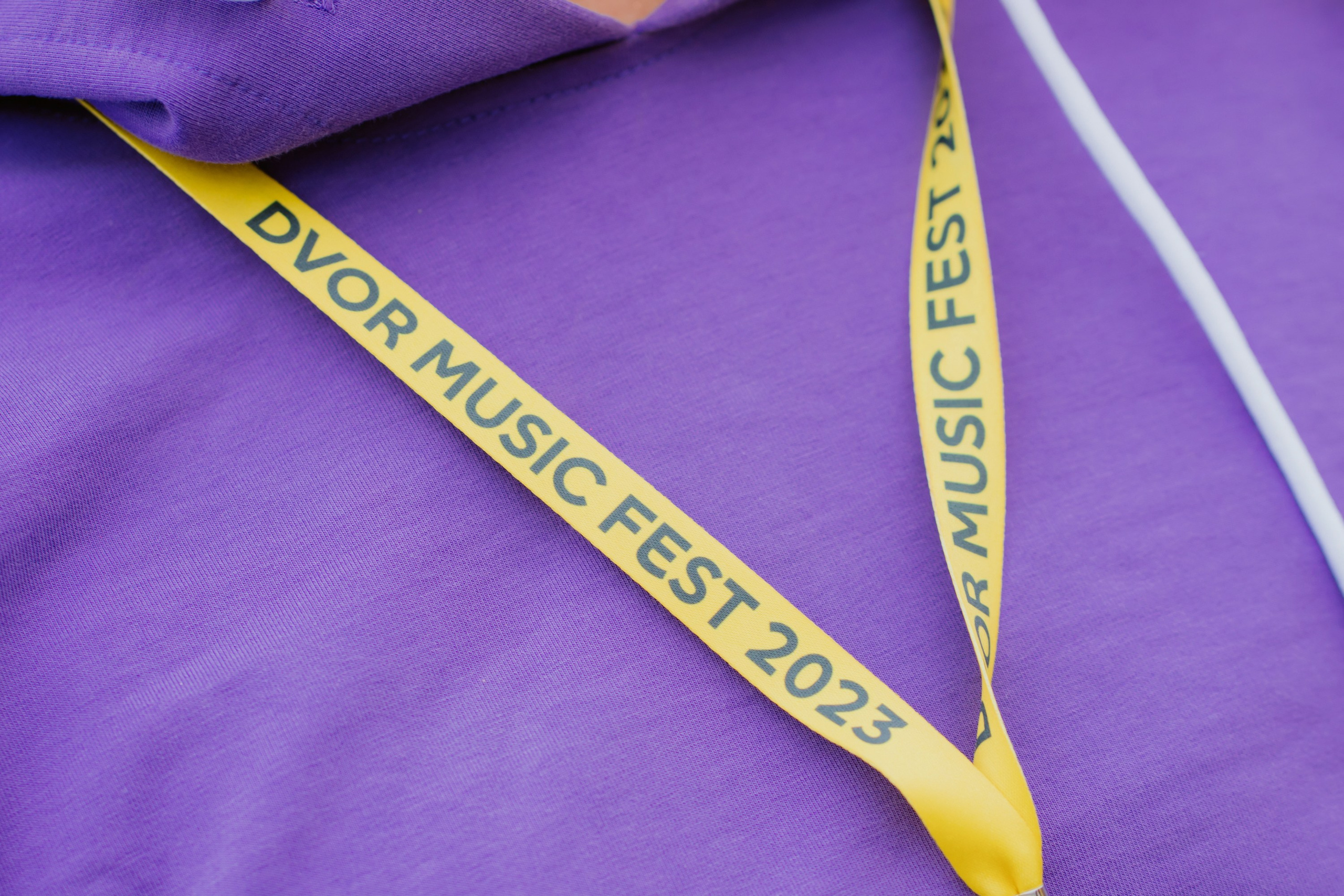 Dvor mega music festival. Photographer — ERASTOV