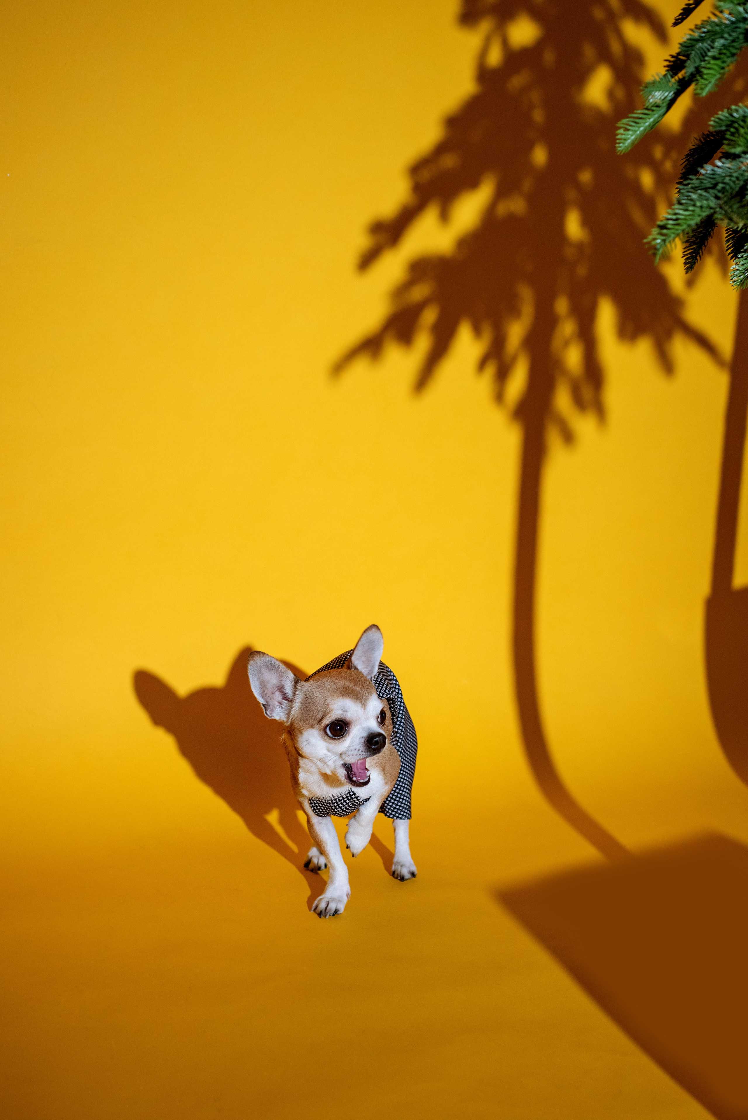 ЕЛЕНА+БРУНО. Ольга Козлова фотограф Волгоград olkiny-fotki.ru