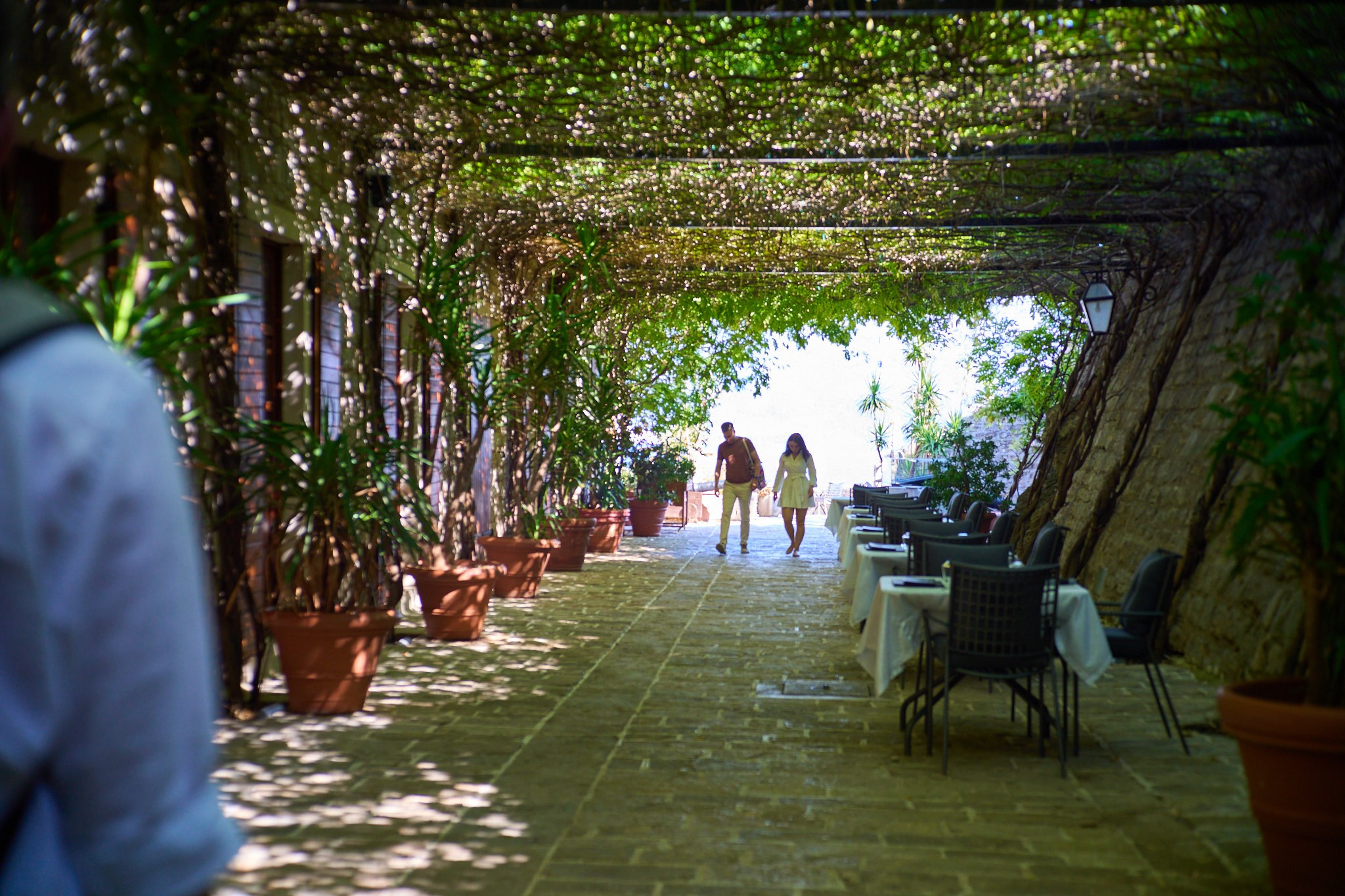 Черногория, сентябрь 2024. Фотограф, Римма Невинская