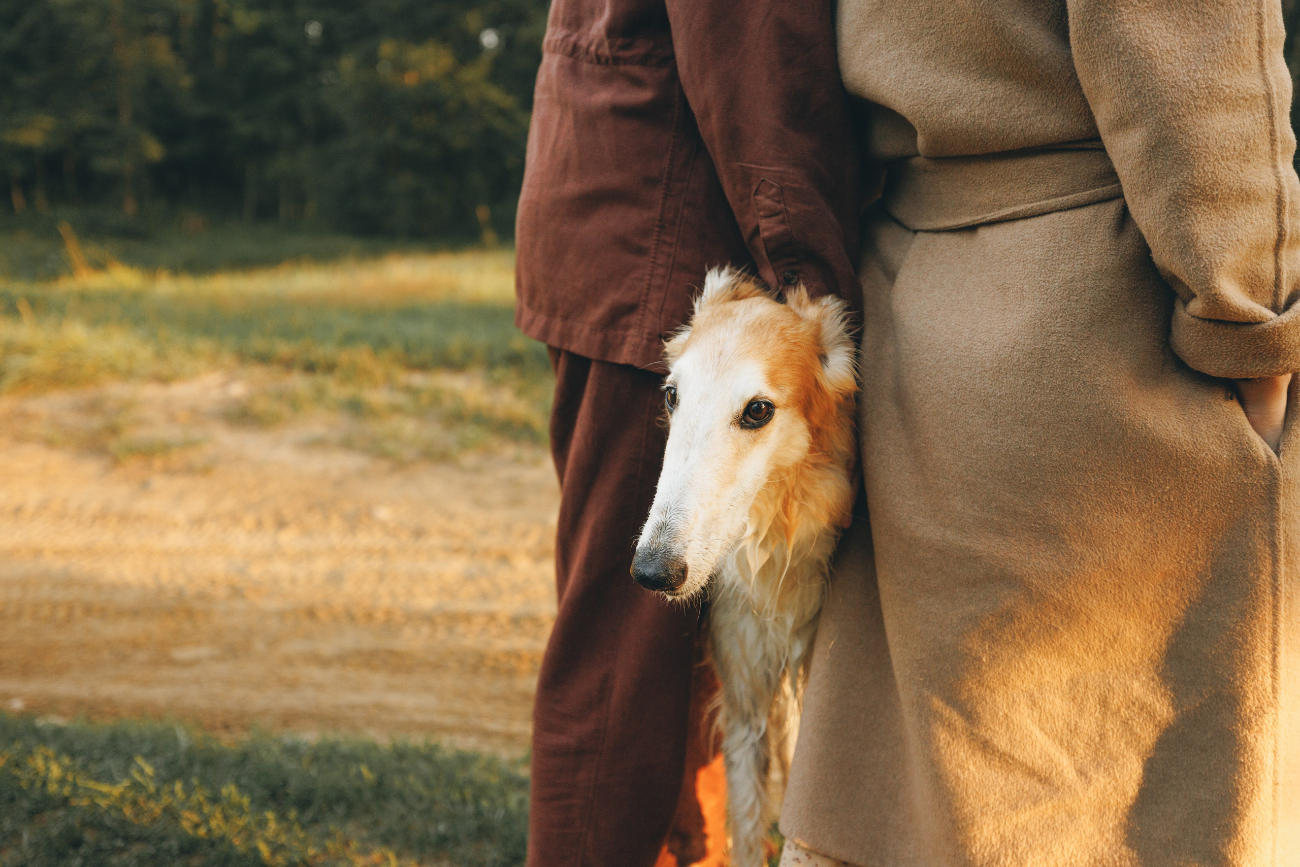 Сергей, Оксана и Жара. Фотограф анималист Осипчикова Мария