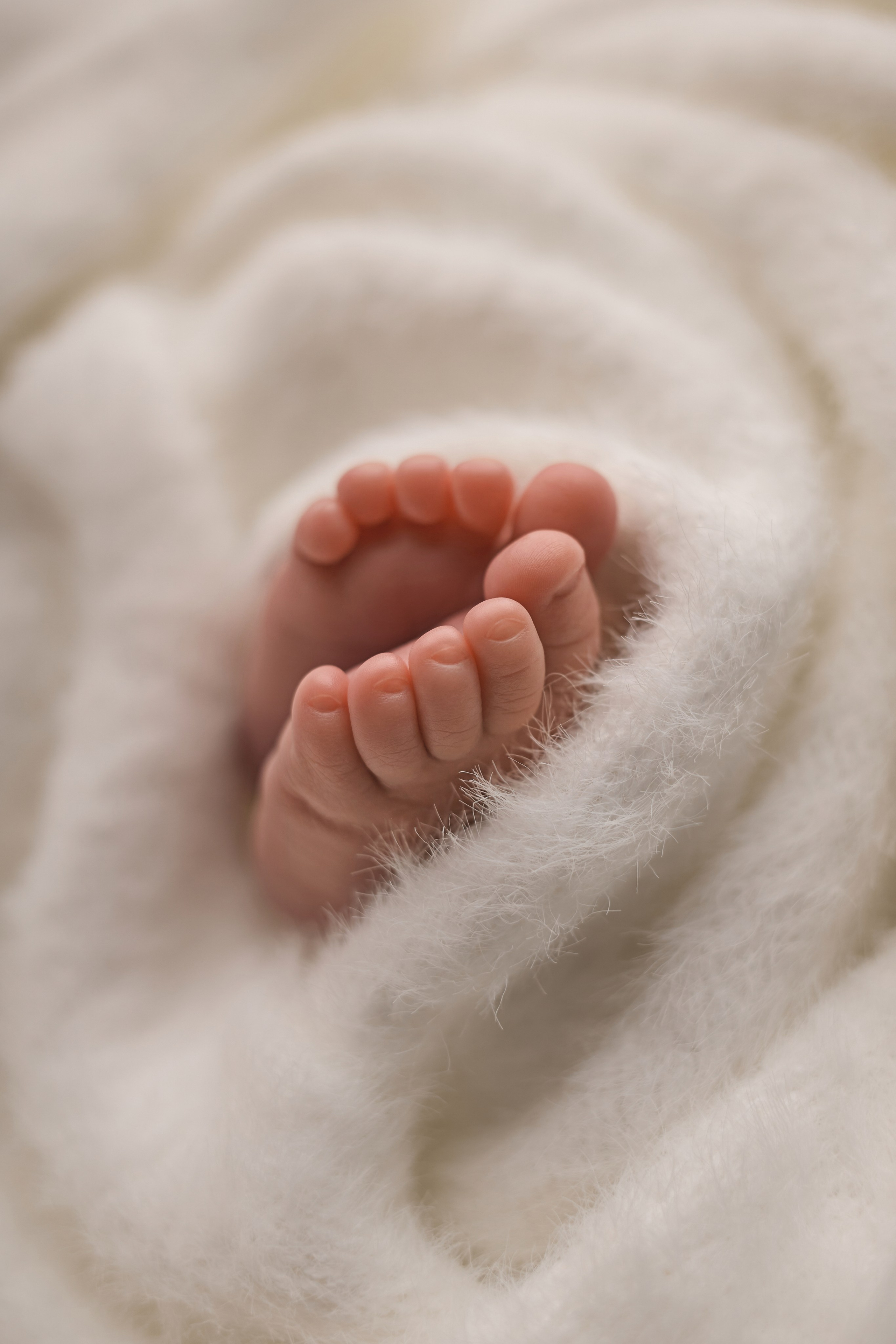 НОВОРОЖДЕННЫЕ. ФОТОГРАФ НОВОРОЖДЕННЫХ ЧЕРЕПОВЕЦ САНКТ-ПЕТЕРБУРГ