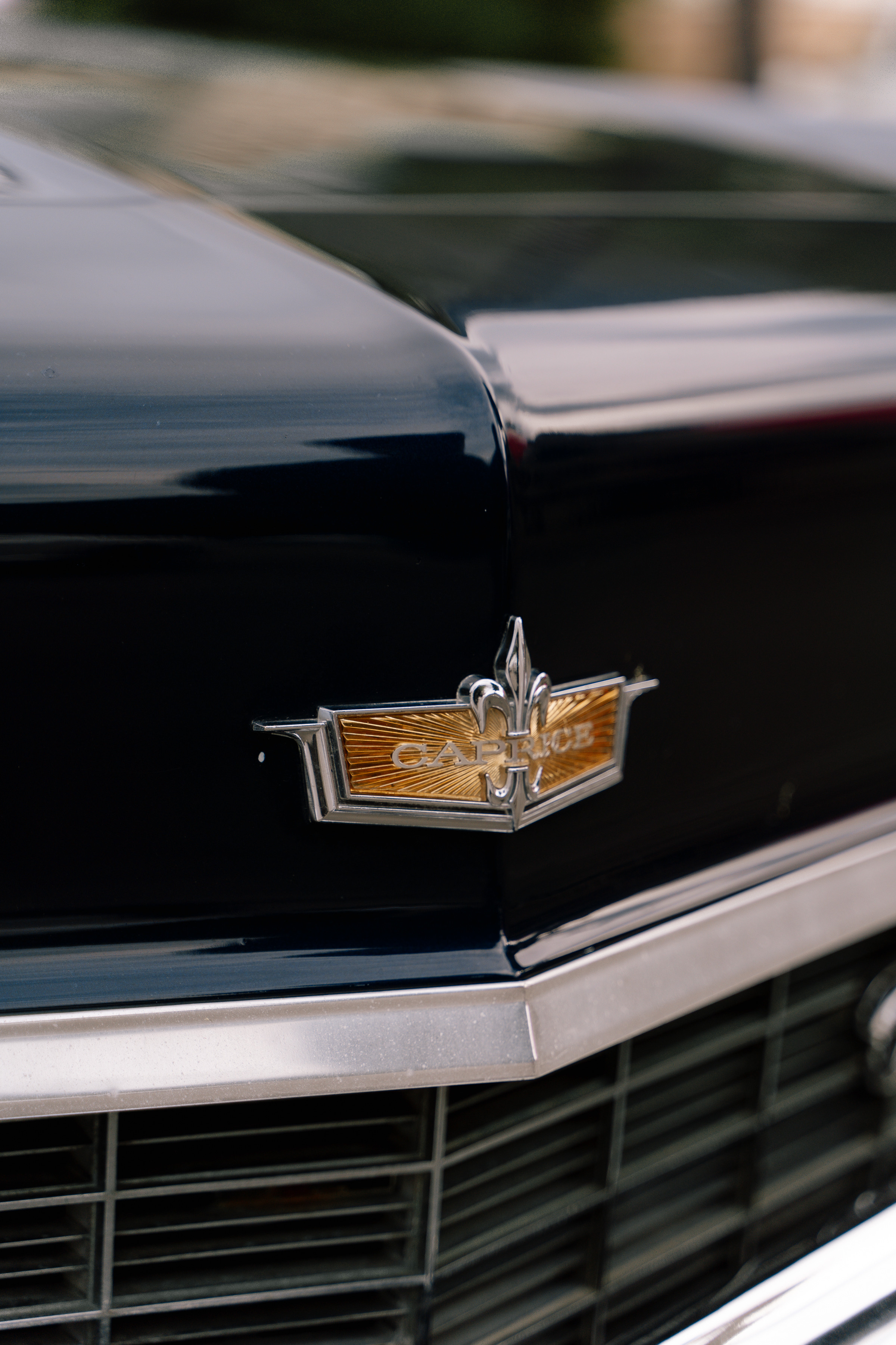 Сако и Ника. Свадебный фотограф Воронеж