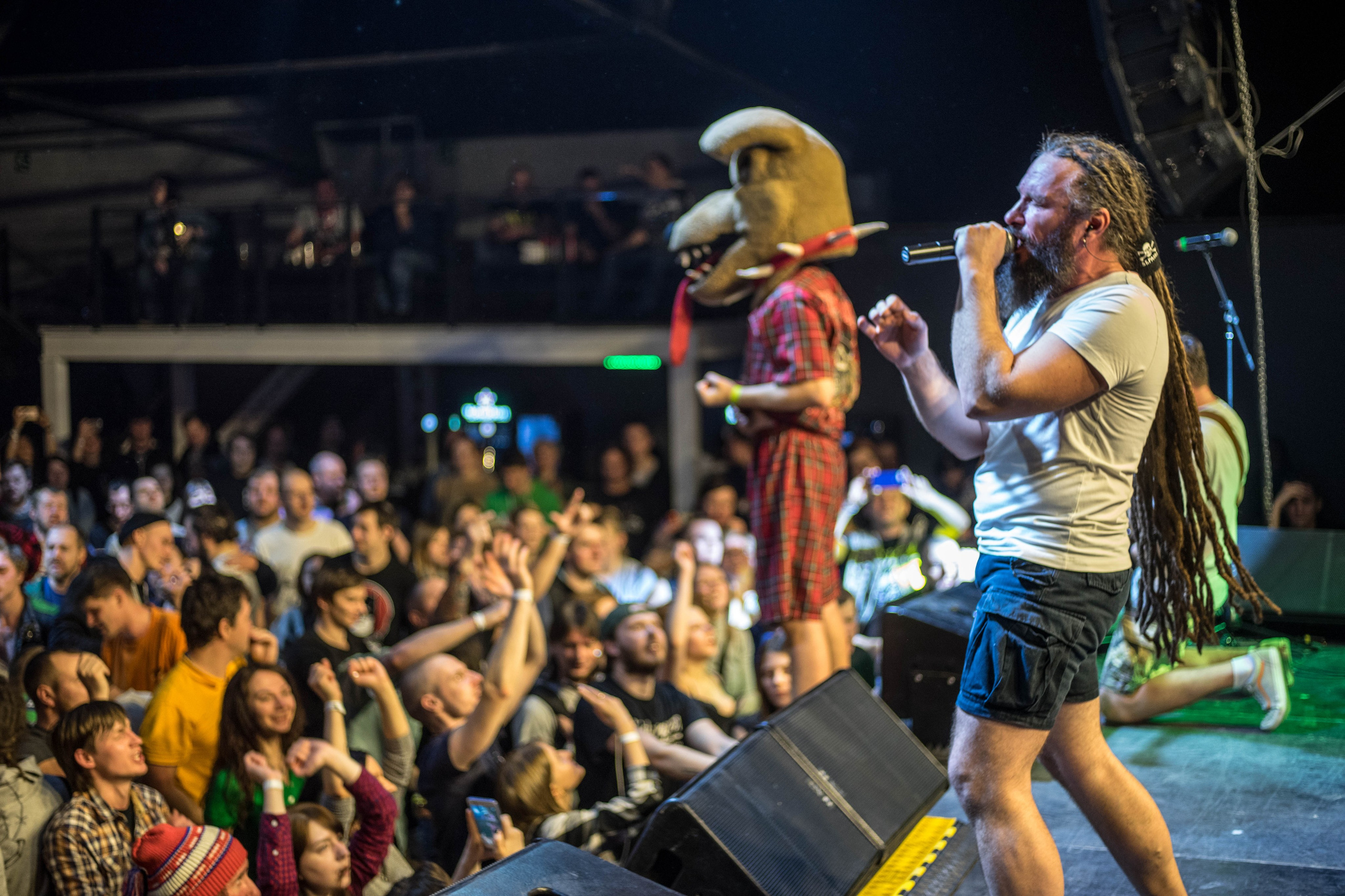 Distamper. Твой фотограф — Полосатый кот