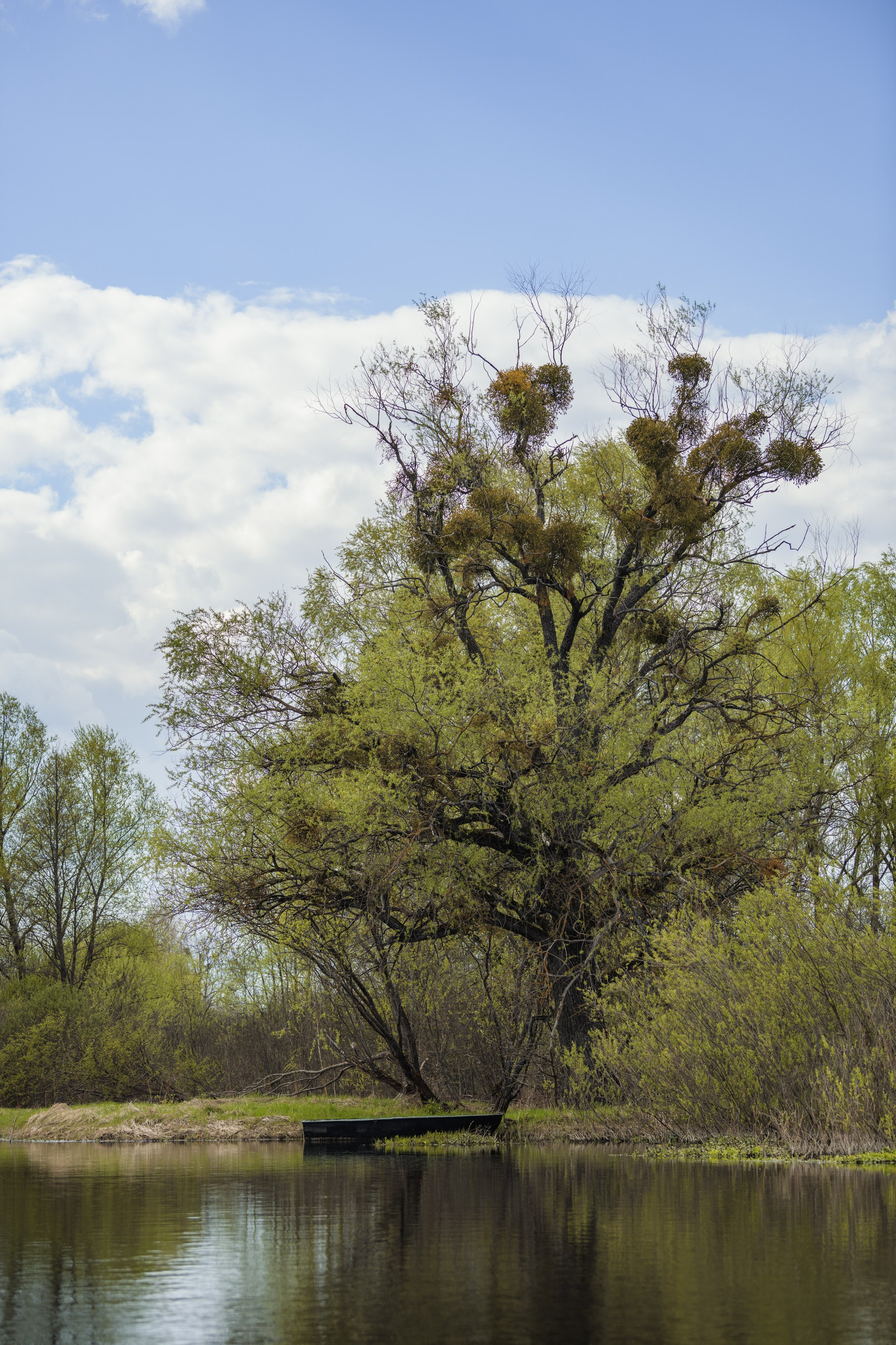 Водный поход 1-й кс по реке Случь. Репортажный фотограф Владимир Беляй