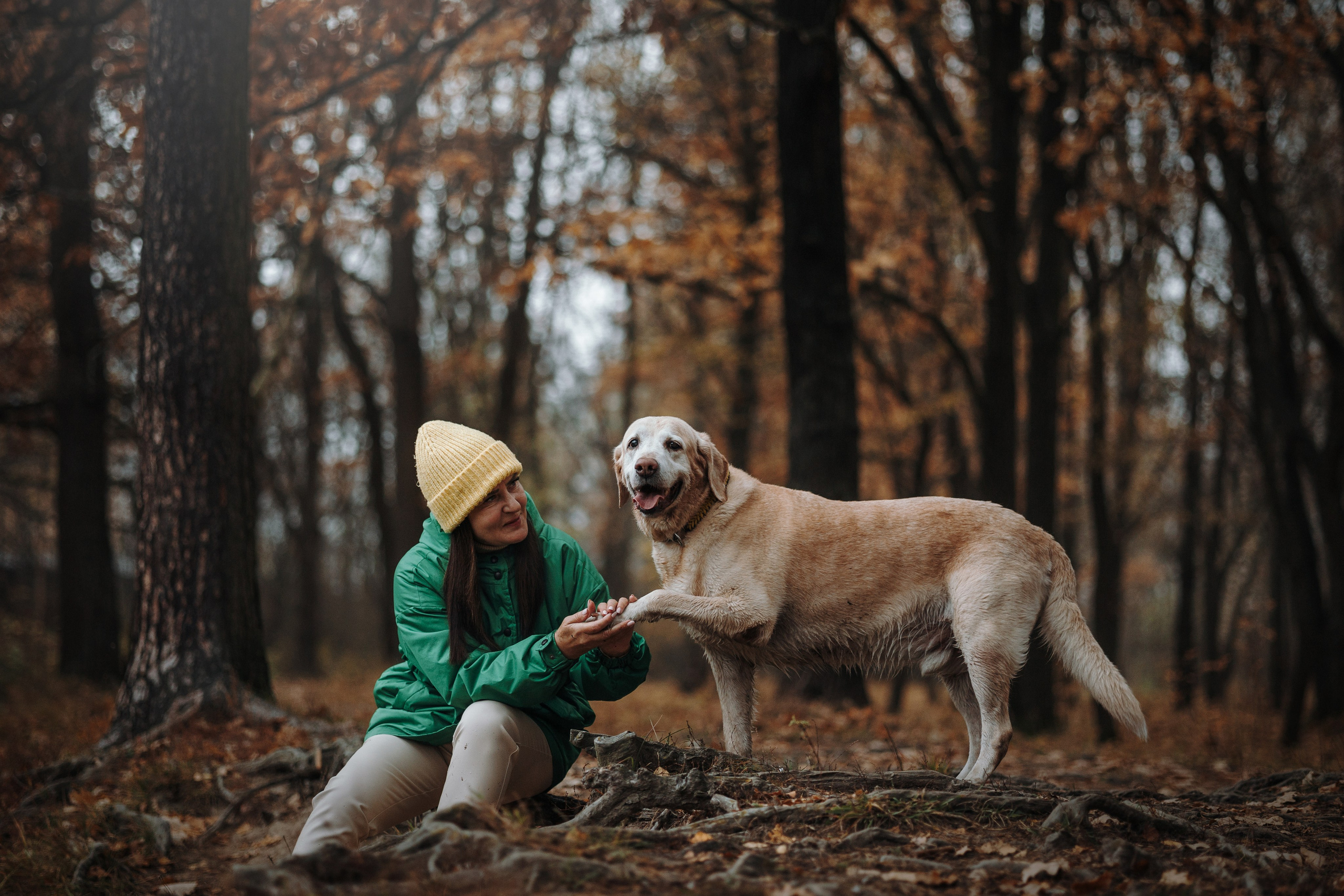 Оксана и Барон. Фотограф — Анималист | Санкт-Петербург