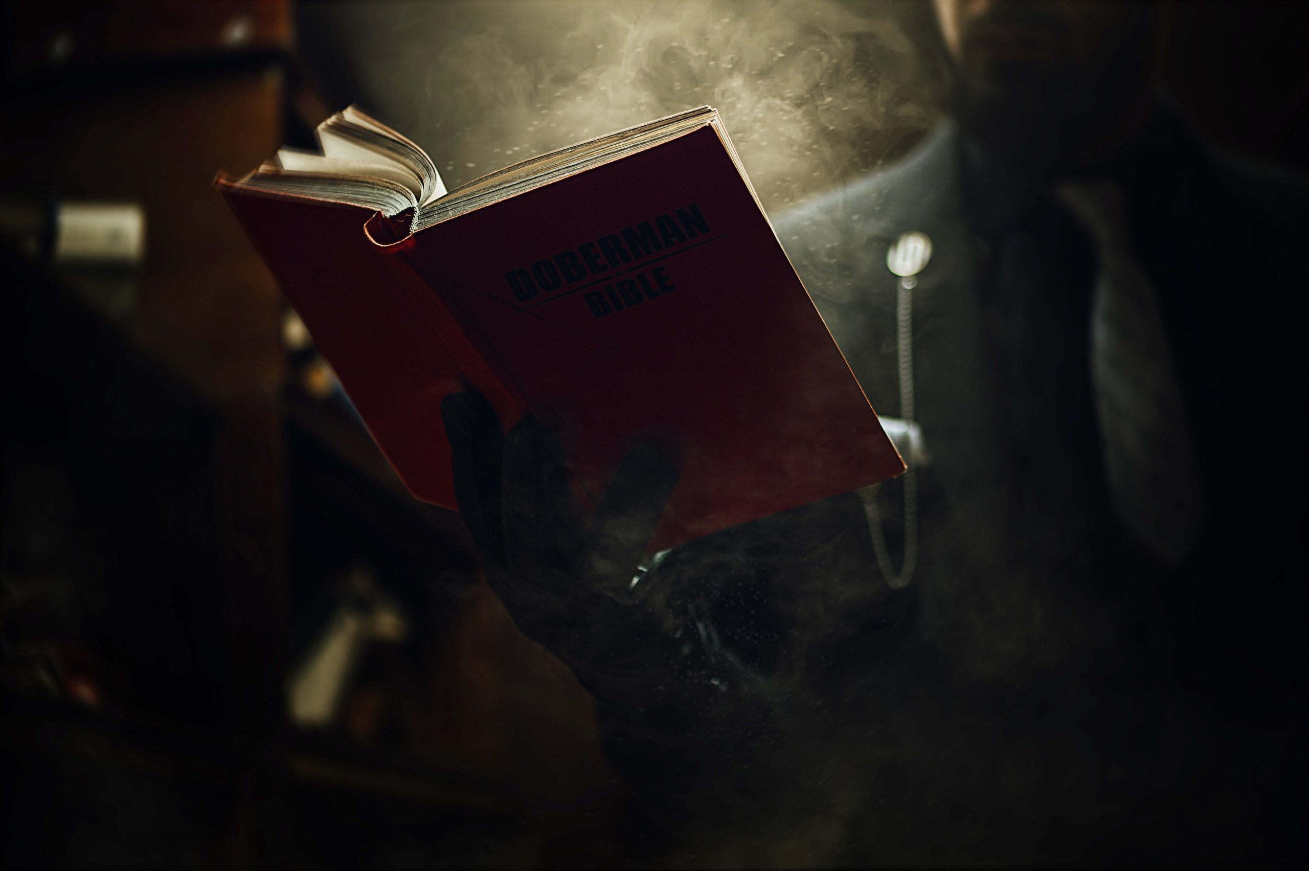 DOBERMAN. Фотограф TAULAN_1