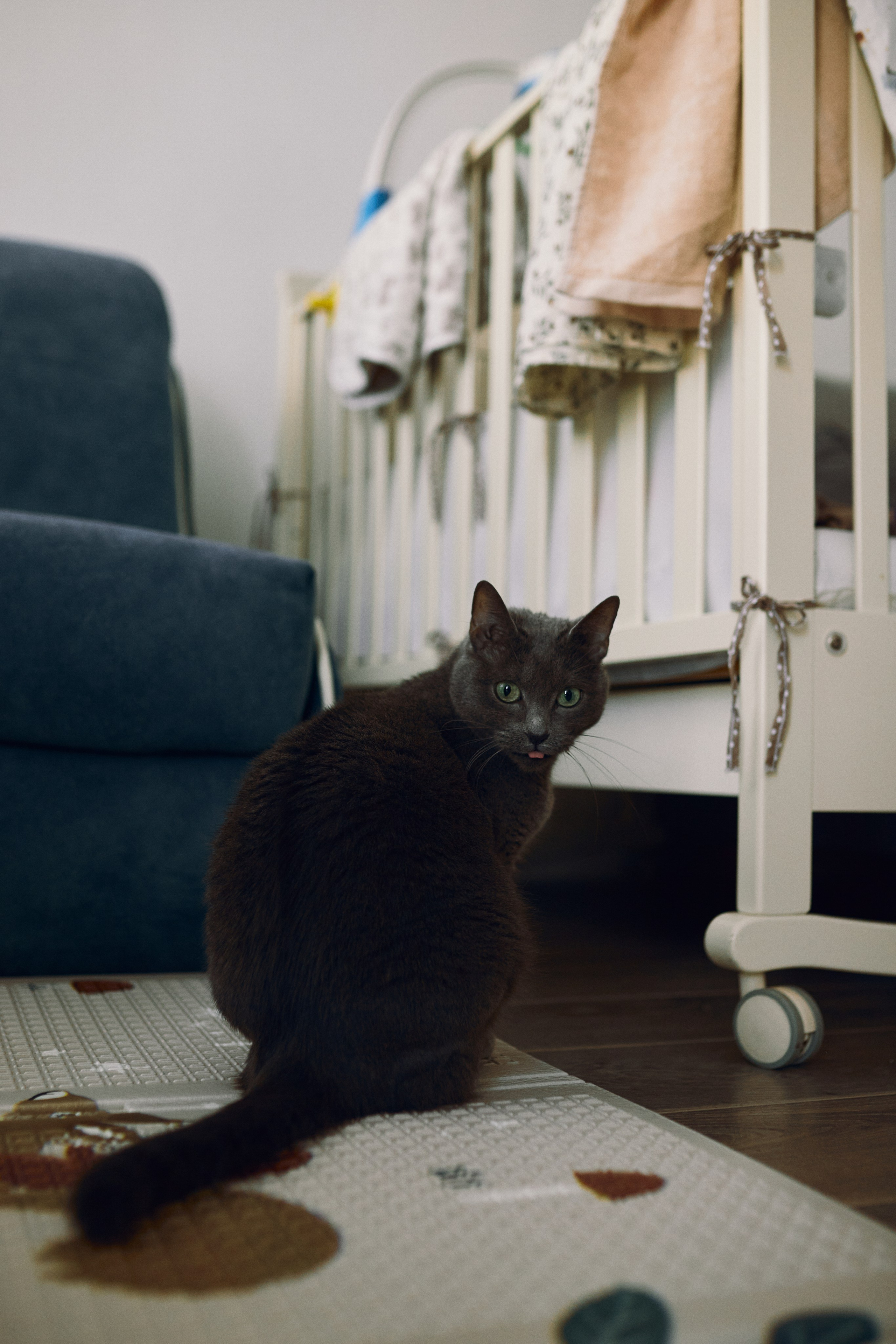 Папины гены. Фотограф Ионова Анастасия, г Владивосток