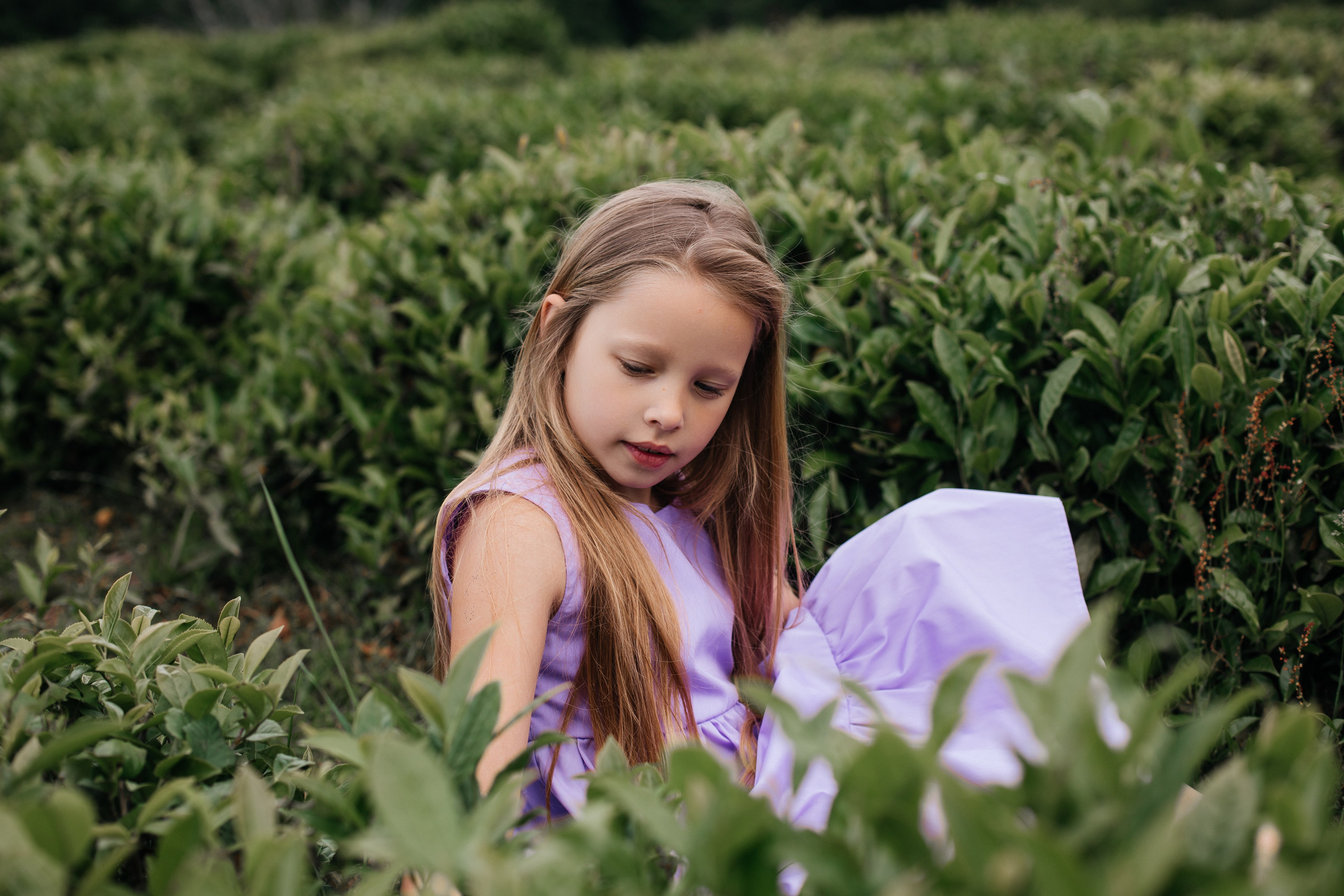 Tea plantation. Efimova Model Agency