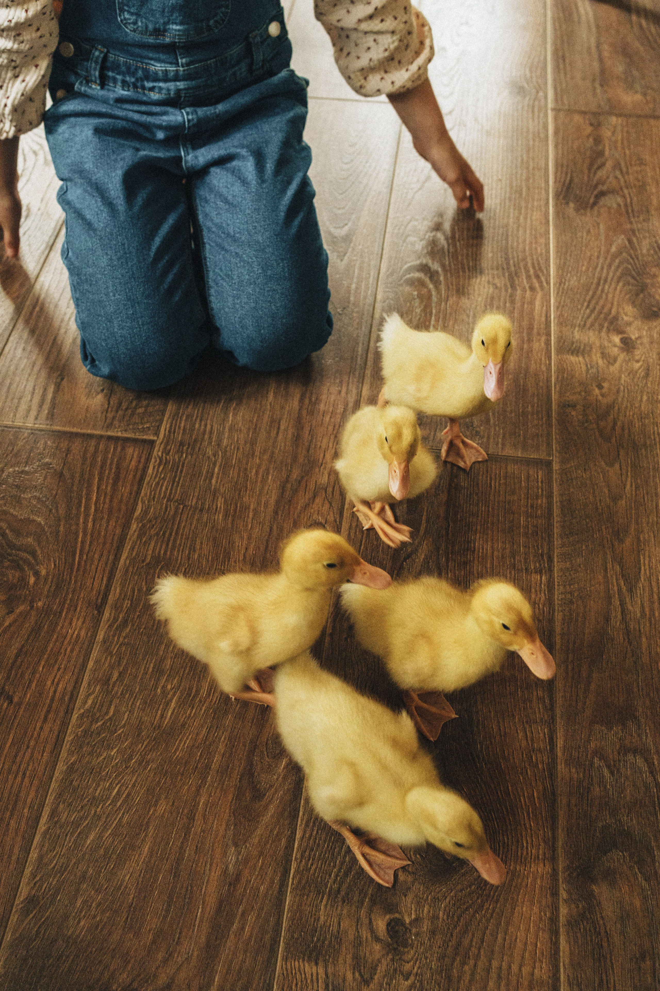 Детки & утятки на Green dacha. Семейный и детский фотограф и видеограф в Москве, Серпухове и Тарусе Валерия Сорокина