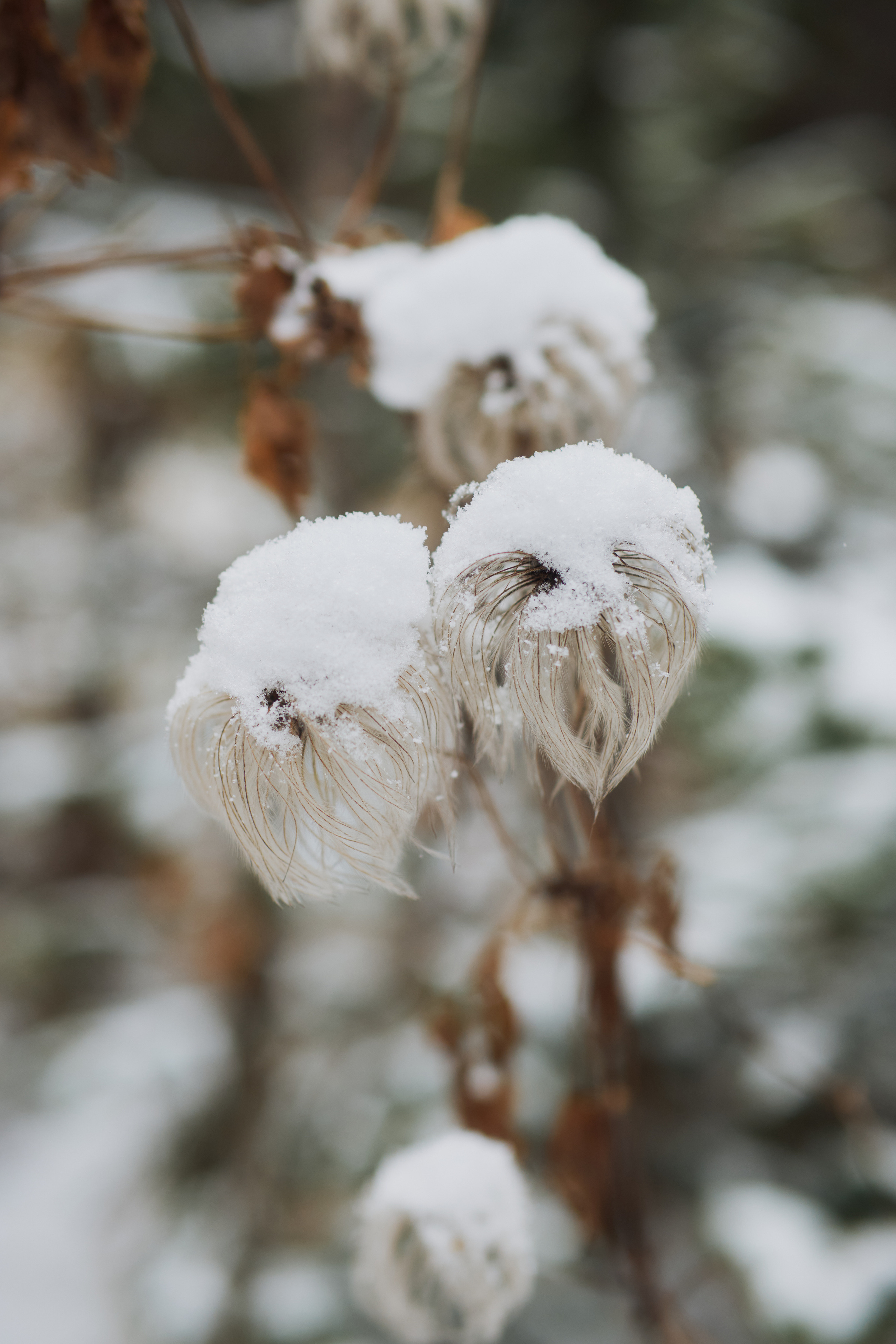 Алимпьев кордон. Andrew Sozonov visual artist