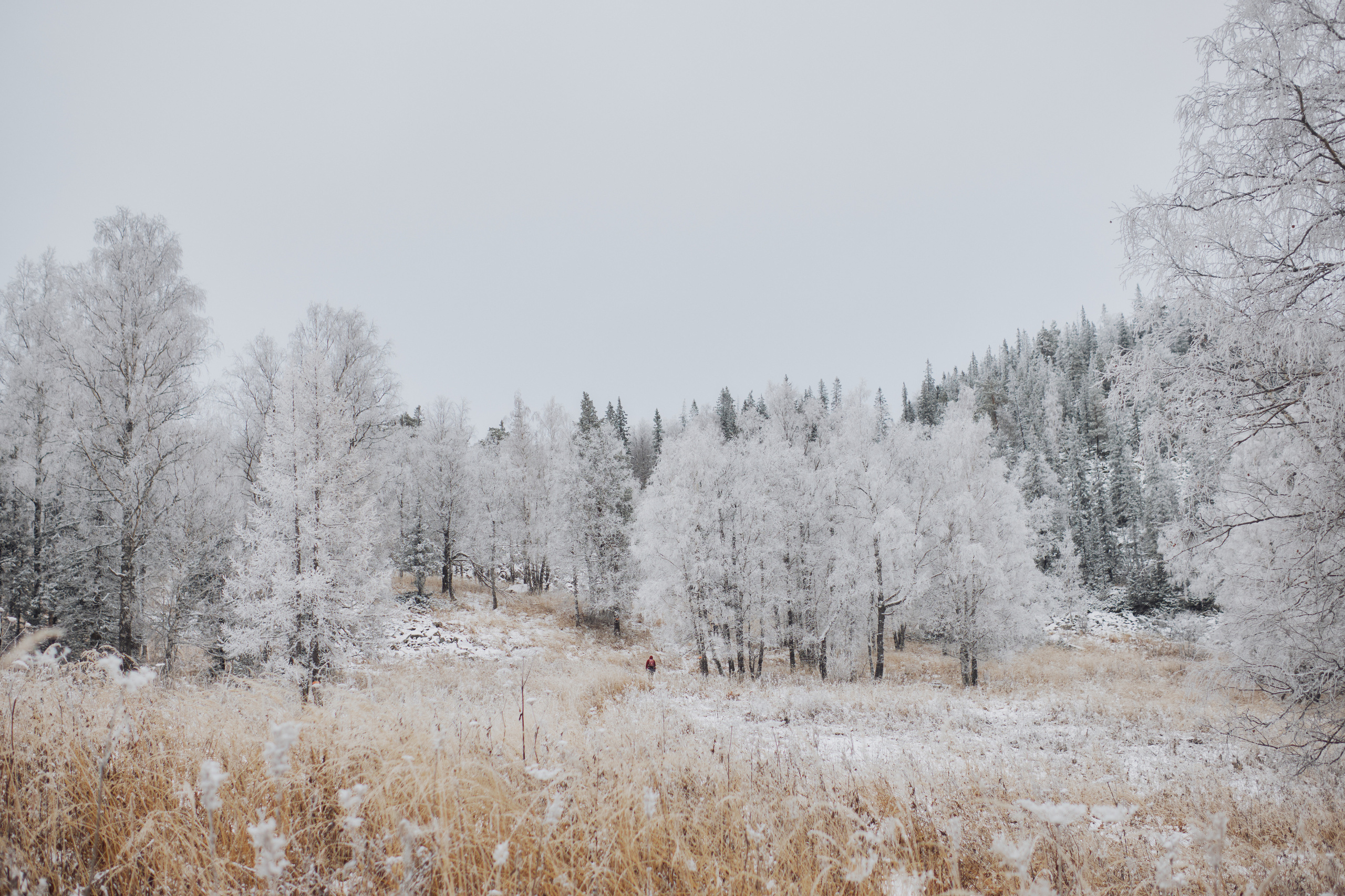 Алимпьев кордон. Andrew Sozonov visual artist