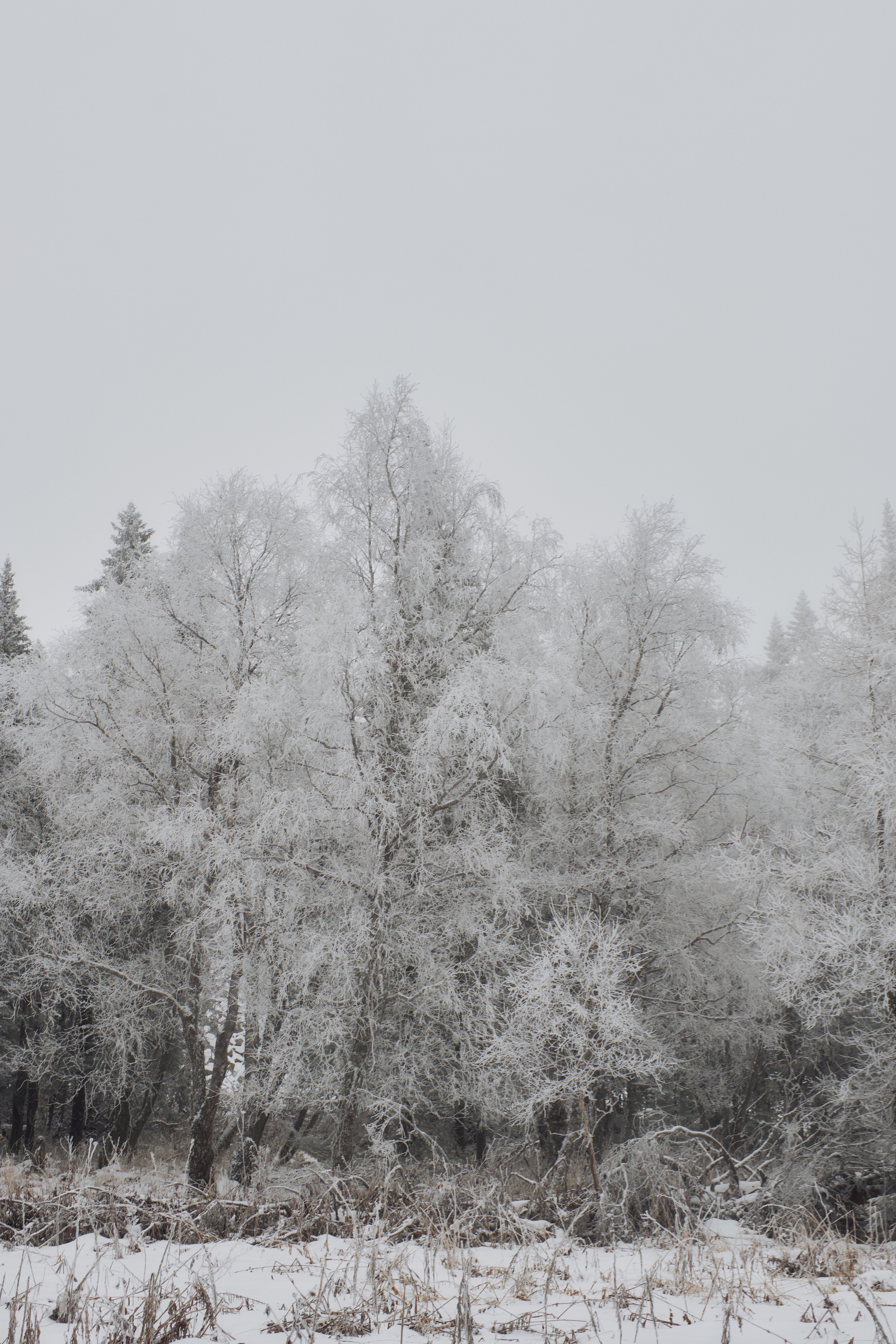 Алимпьев кордон. Andrew Sozonov visual artist