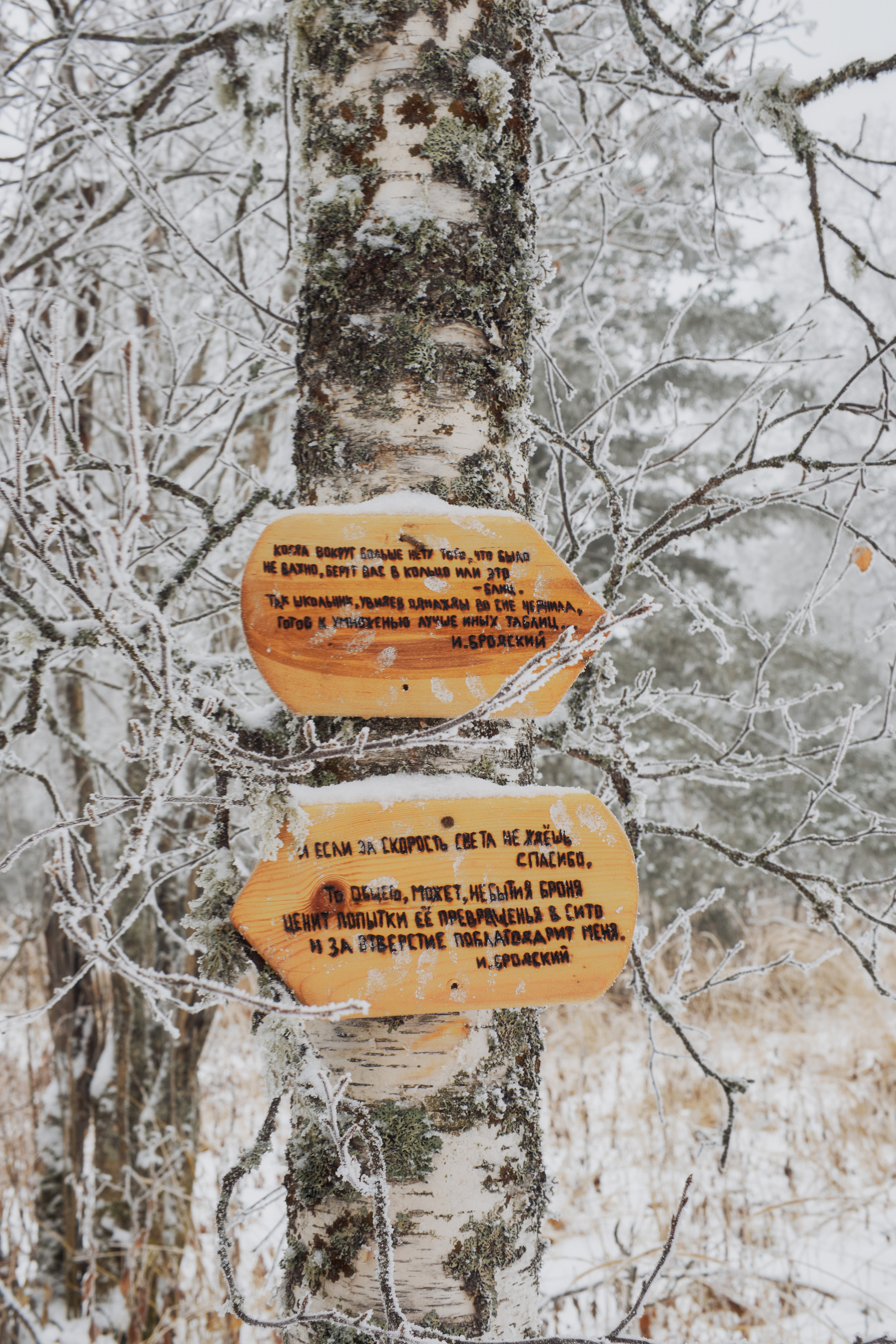 Алимпьев кордон. Andrew Sozonov visual artist