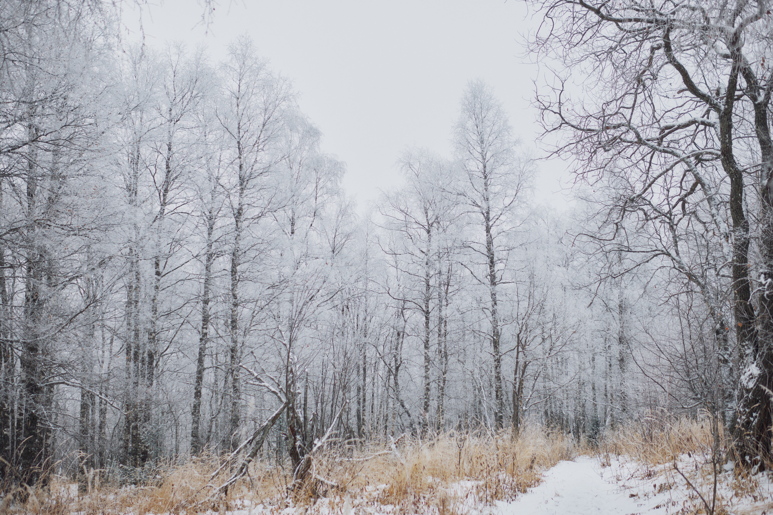 Алимпьев кордон. Andrew Sozonov visual artist