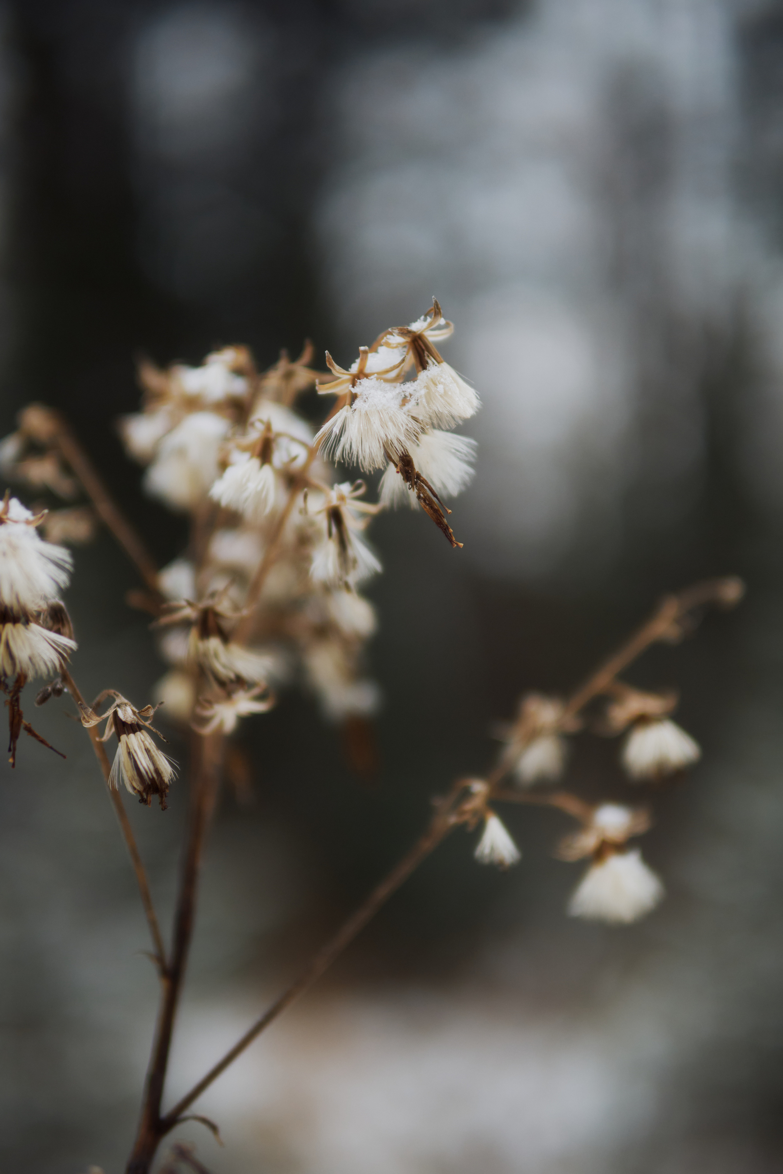 Алимпьев кордон. Andrew Sozonov visual artist