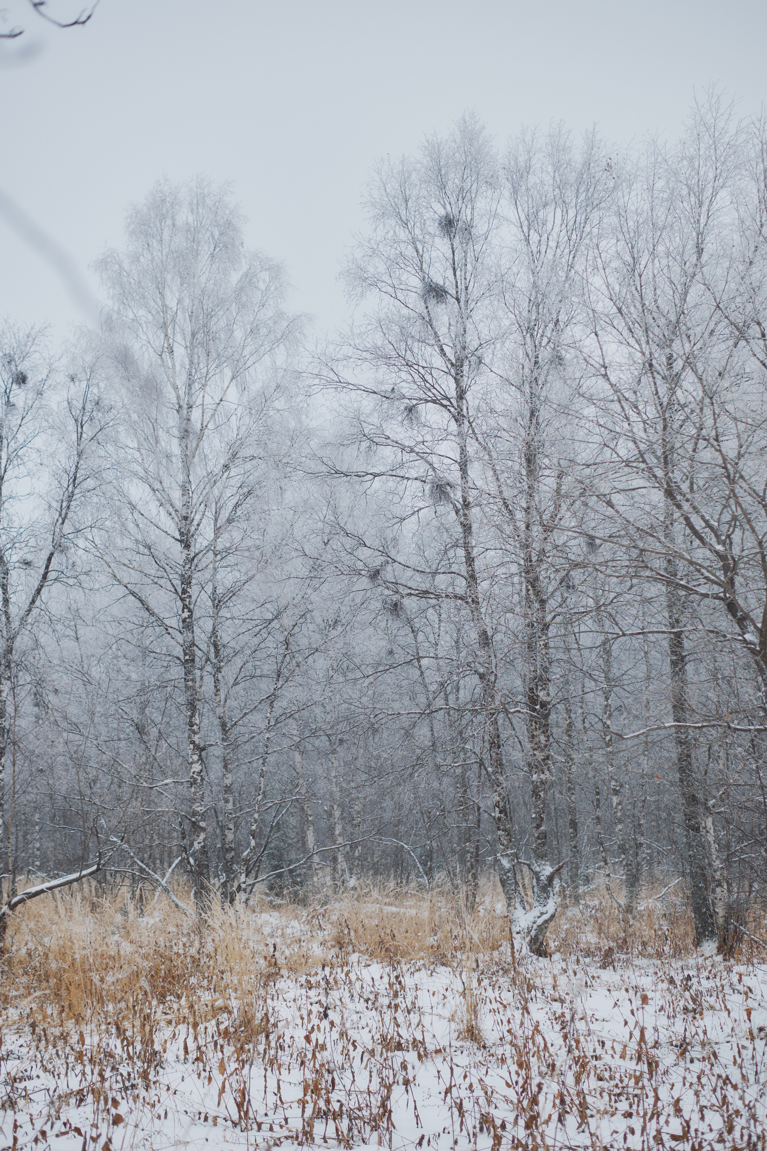 Алимпьев кордон. Andrew Sozonov visual artist