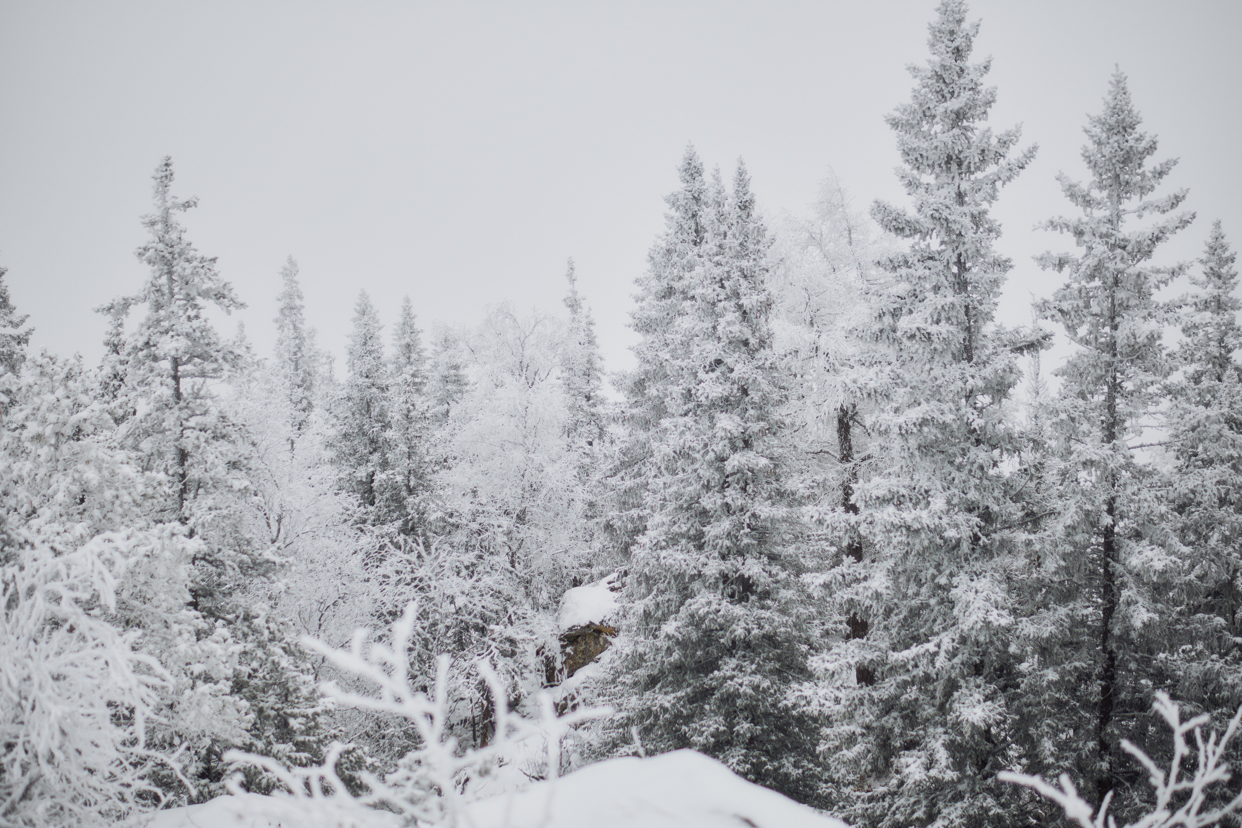 Алимпьев кордон. Andrew Sozonov visual artist