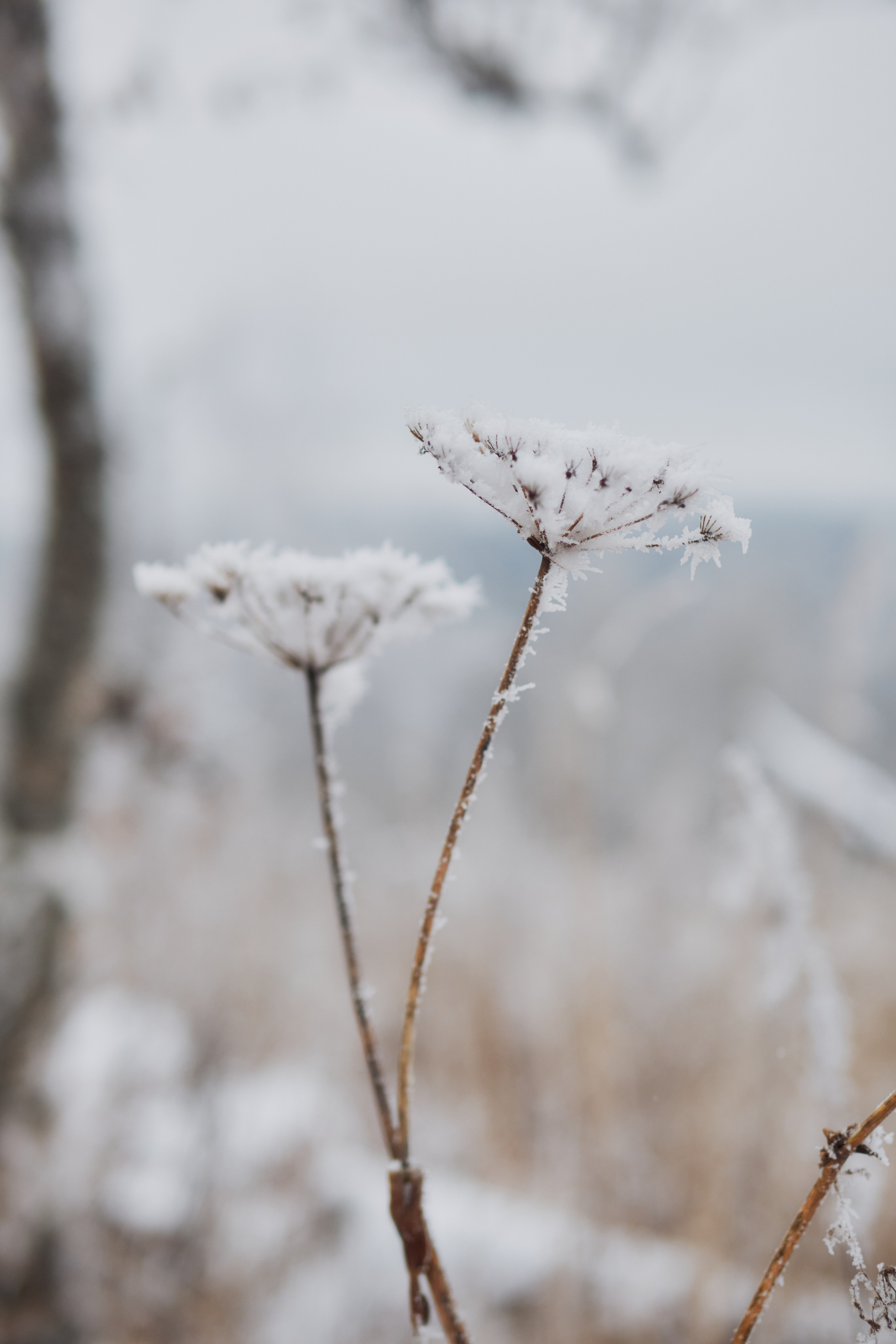 Алимпьев кордон. Andrew Sozonov visual artist