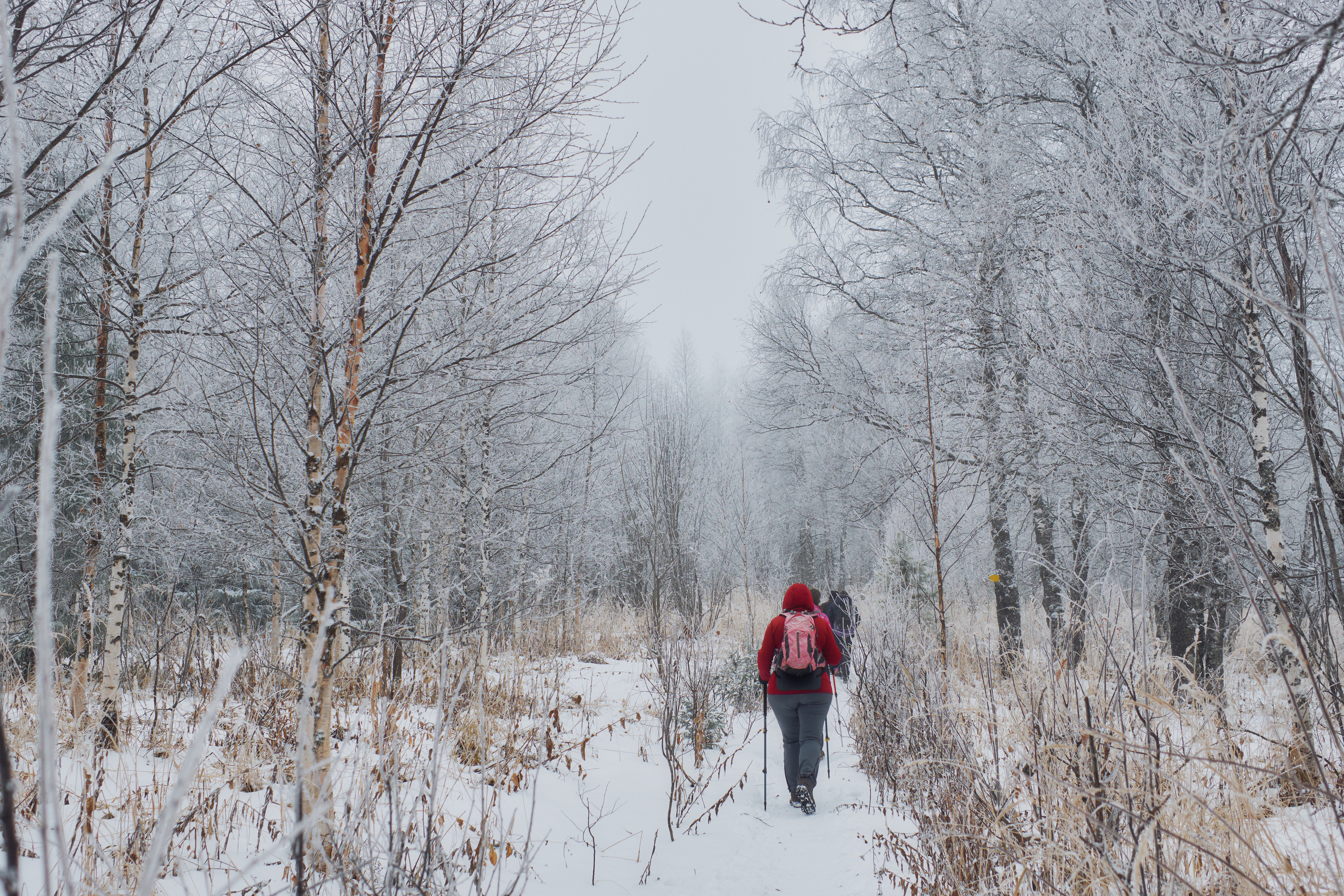 Алимпьев кордон. Andrew Sozonov visual artist