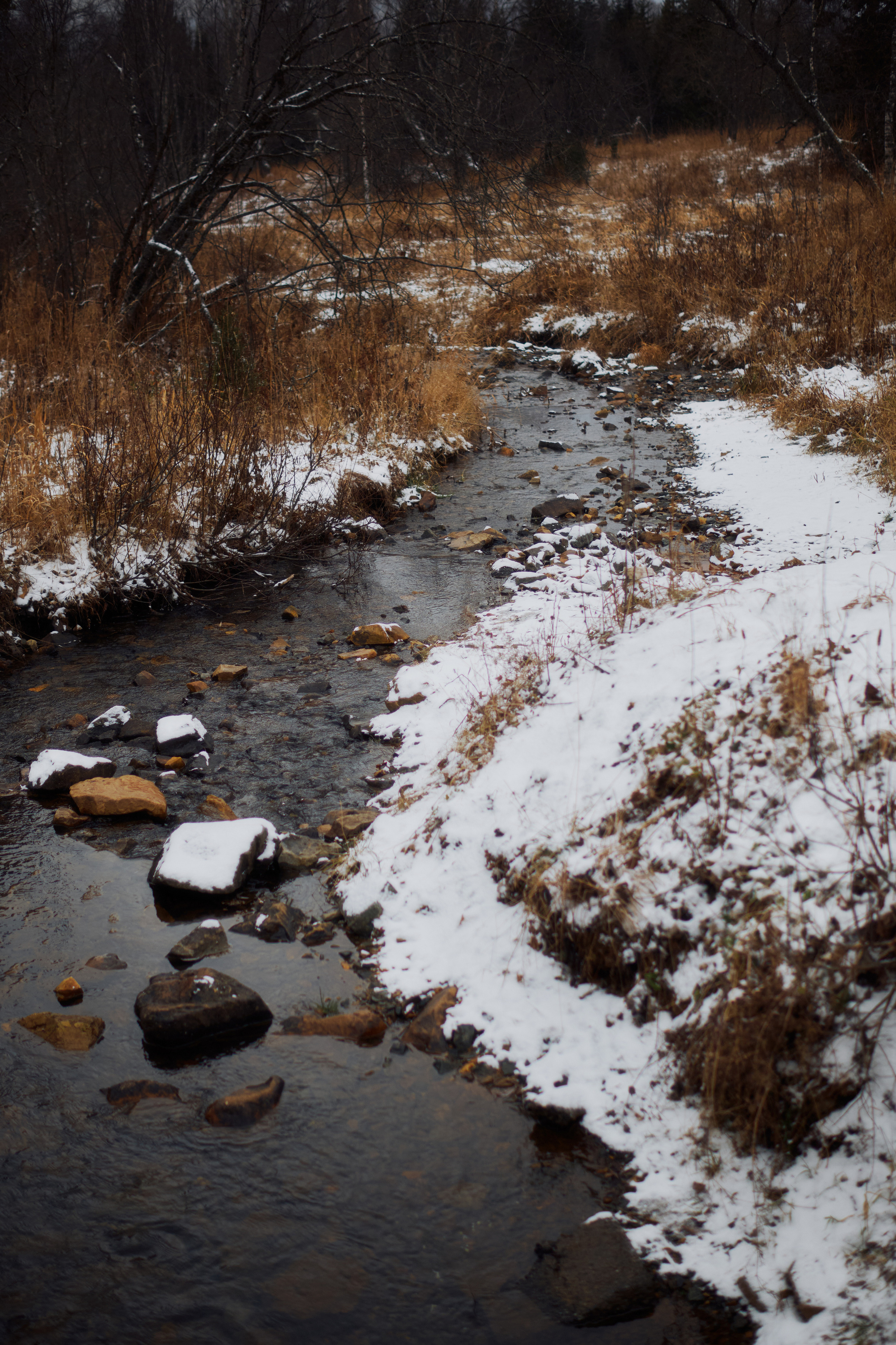 Алимпьев кордон. Andrew Sozonov visual artist