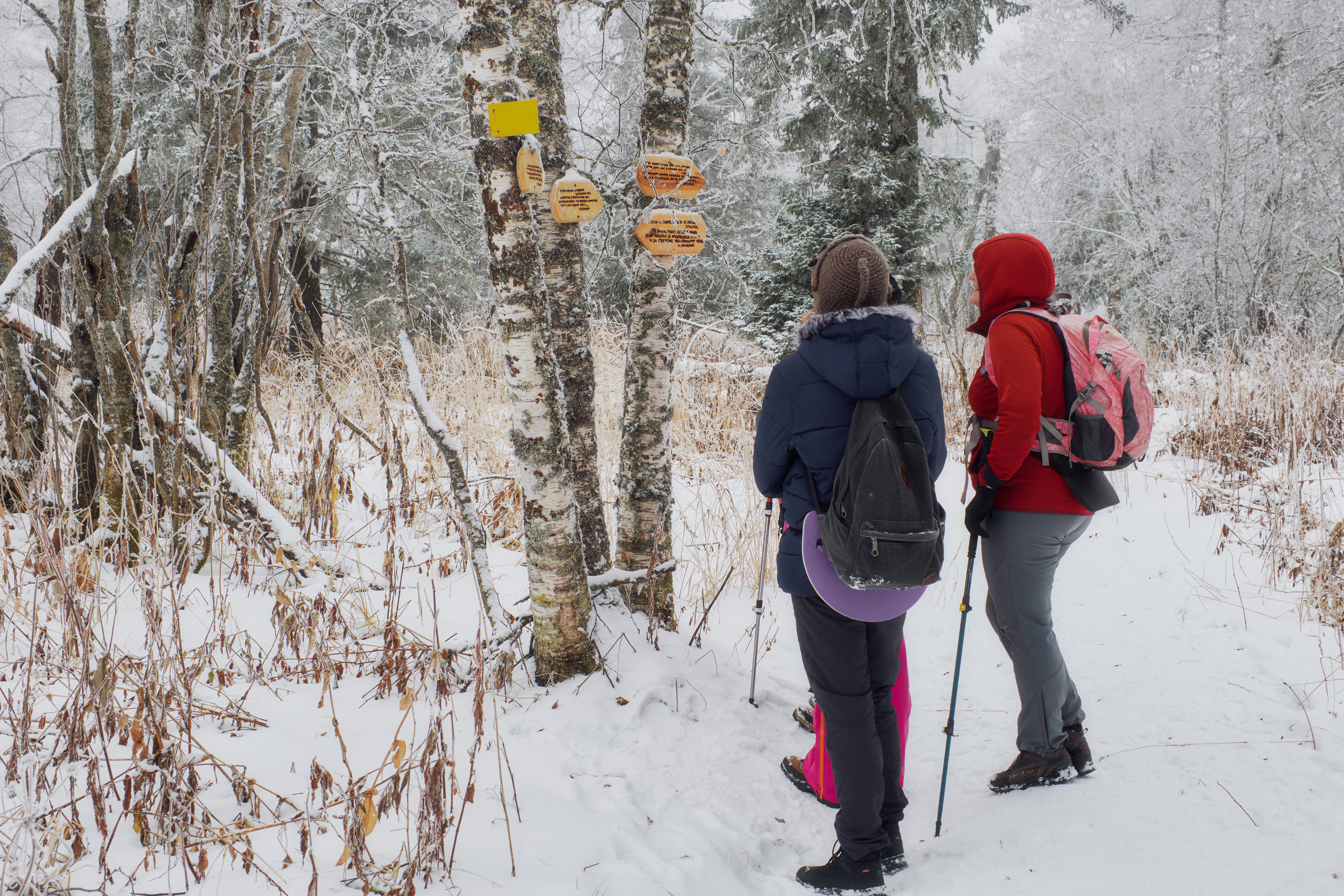 Алимпьев кордон. Andrew Sozonov visual artist