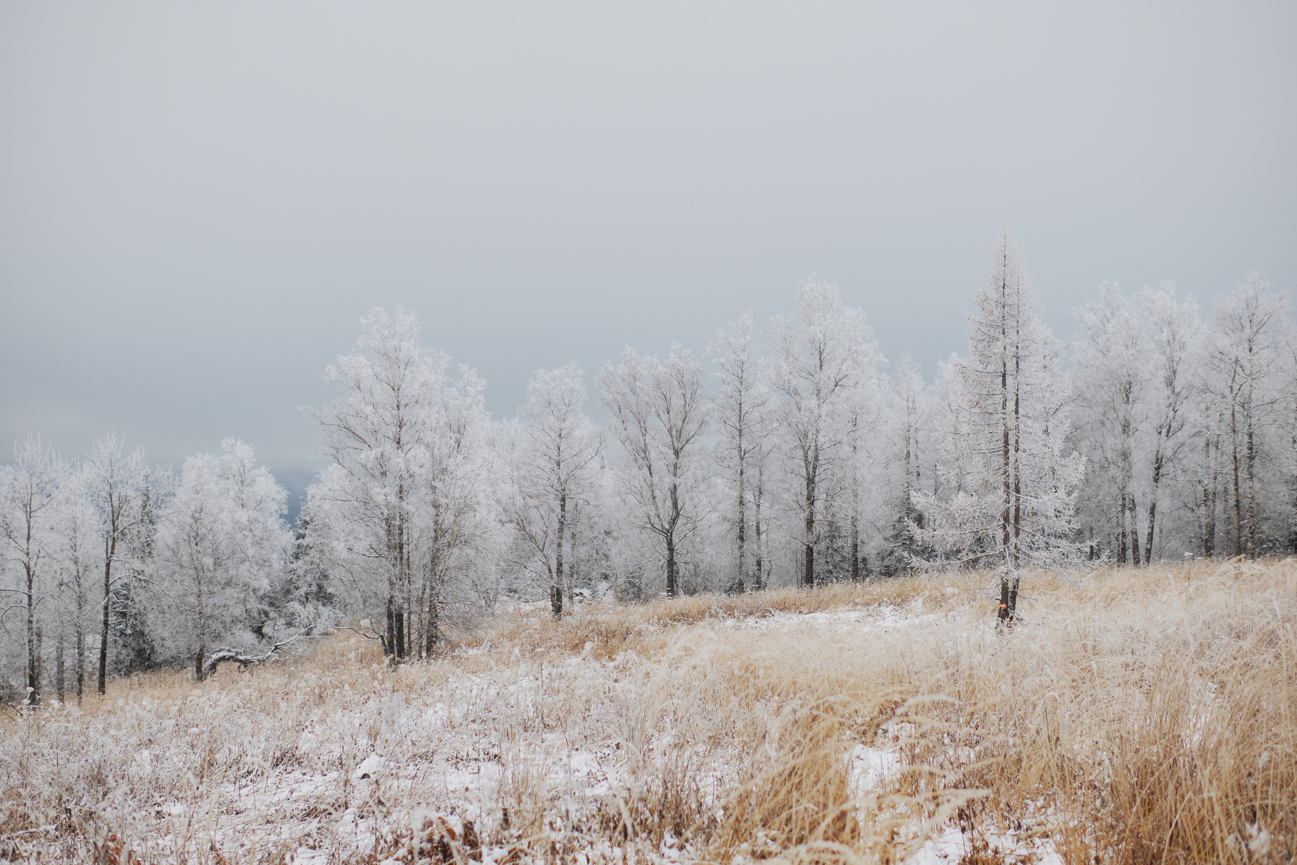 Алимпьев кордон. Andrew Sozonov visual artist