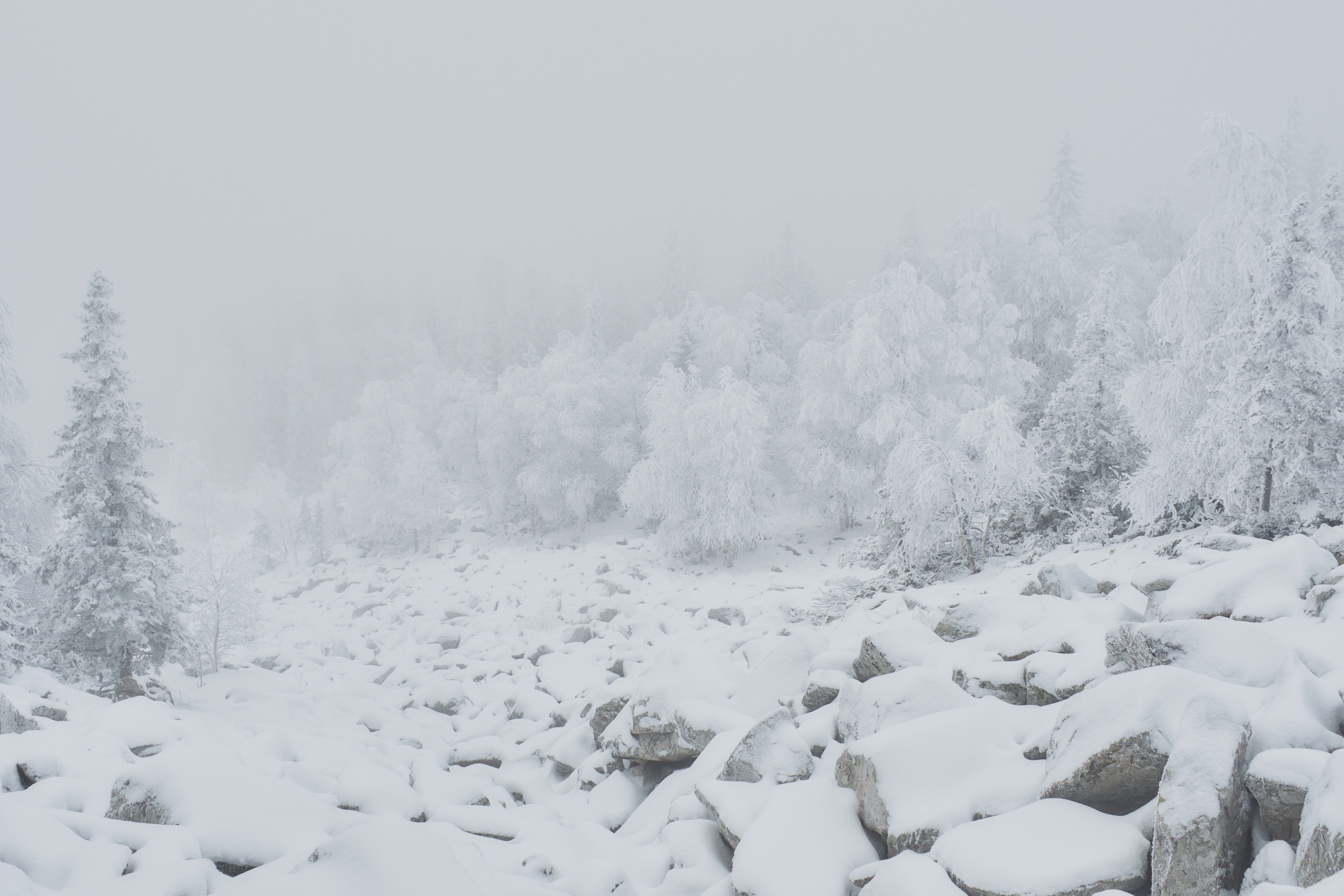 Алимпьев кордон. Andrew Sozonov visual artist