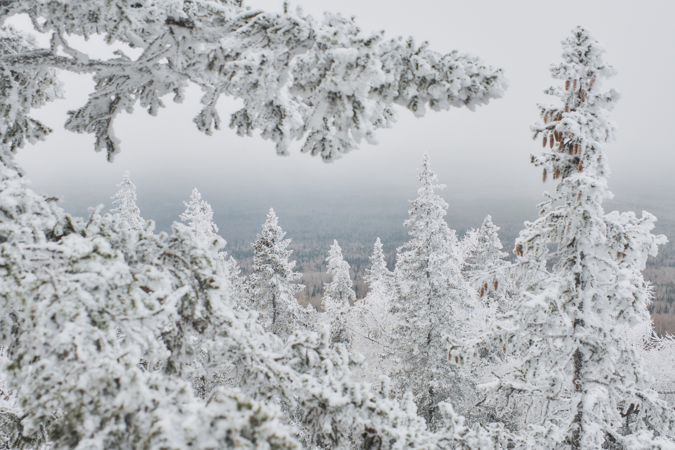 Алимпьев кордон. Andrew Sozonov visual artist