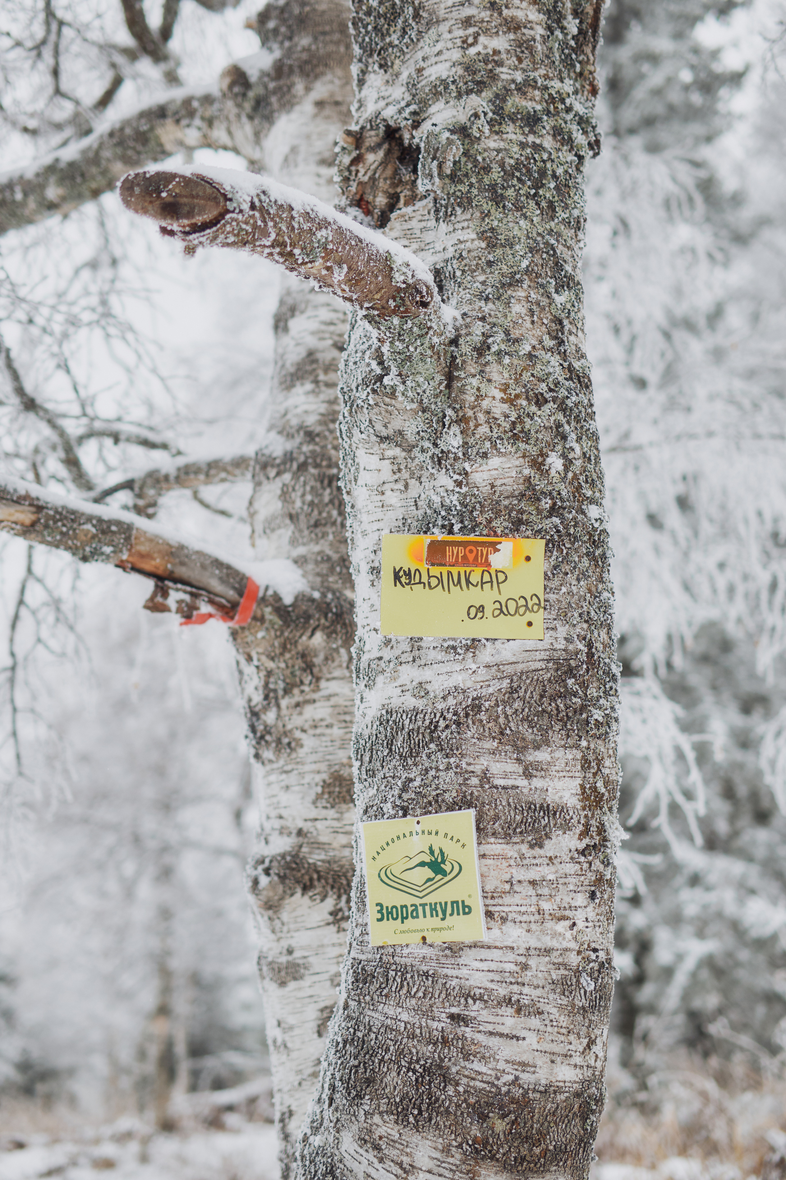 Алимпьев кордон. Andrew Sozonov visual artist