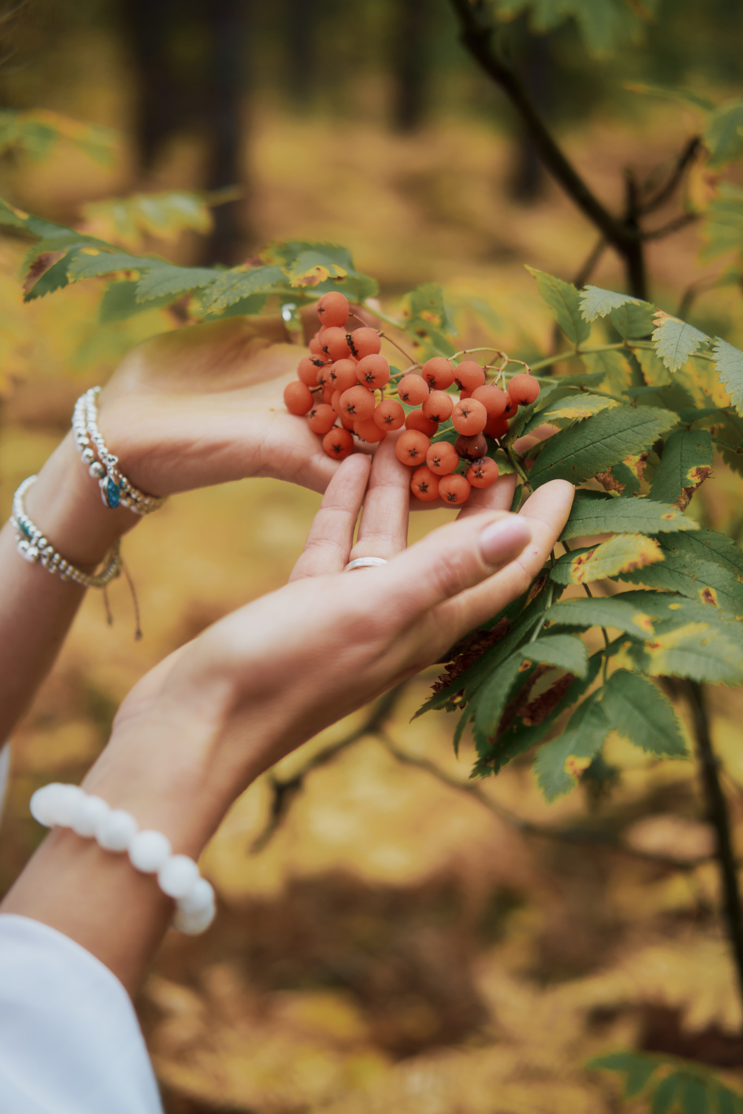 Индивидуальная фотосессия для Елены Городецкой. Andrew Sozonov visual artist