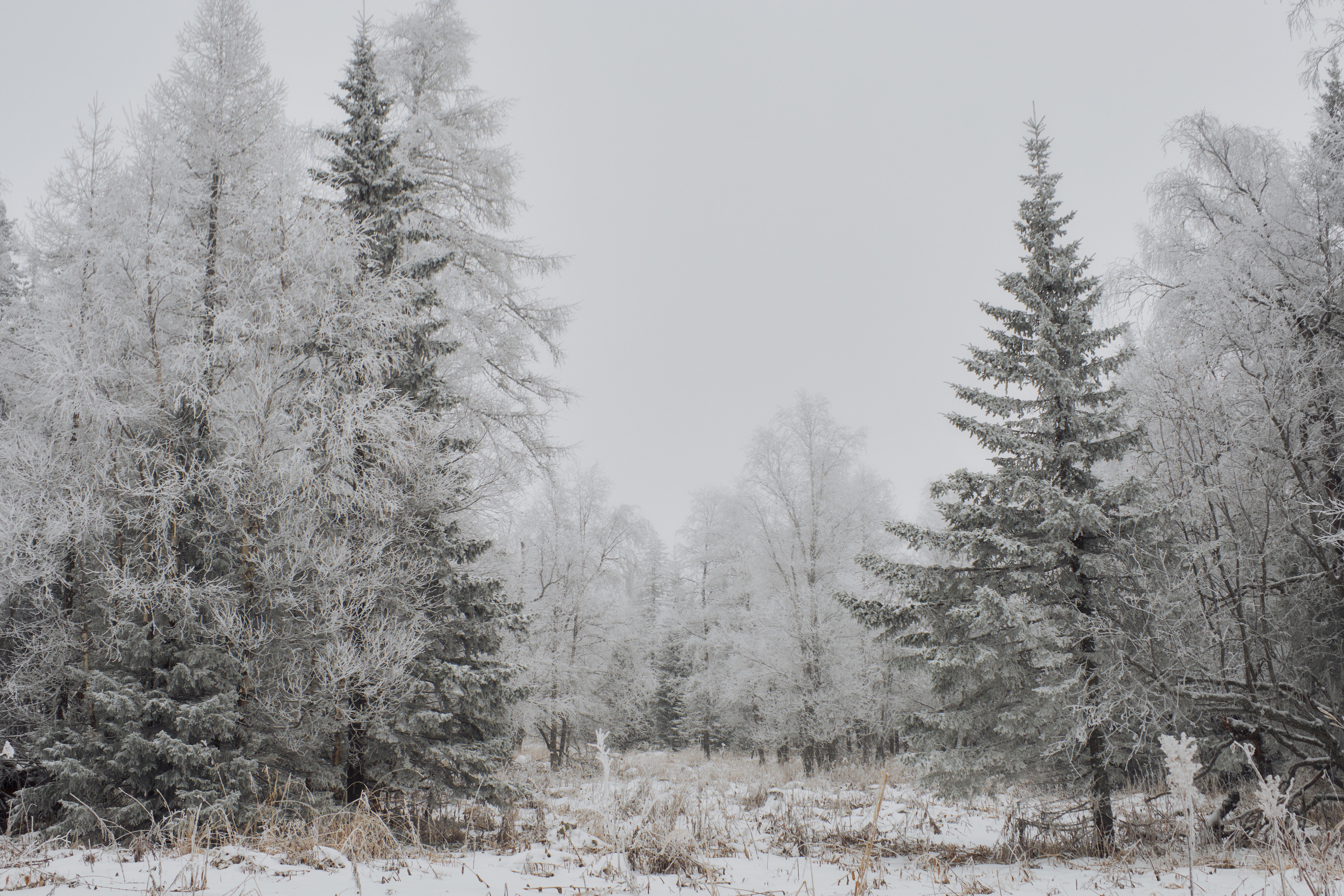 Алимпьев кордон. Andrew Sozonov visual artist