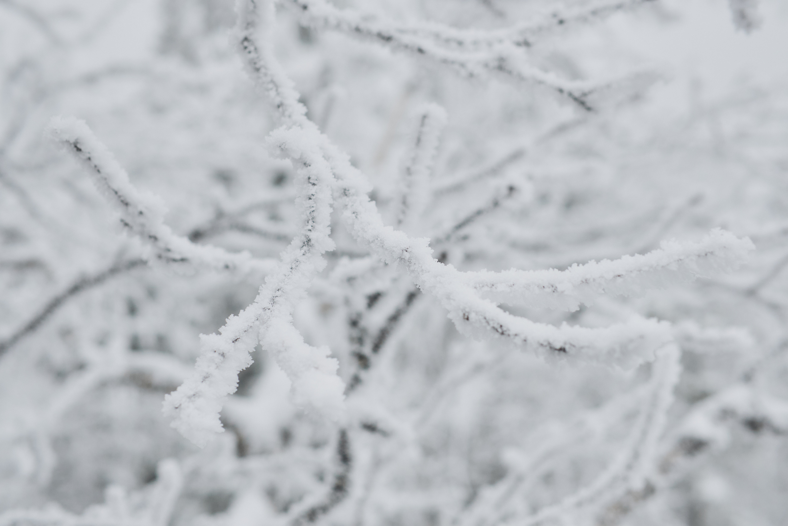 Алимпьев кордон. Andrew Sozonov visual artist