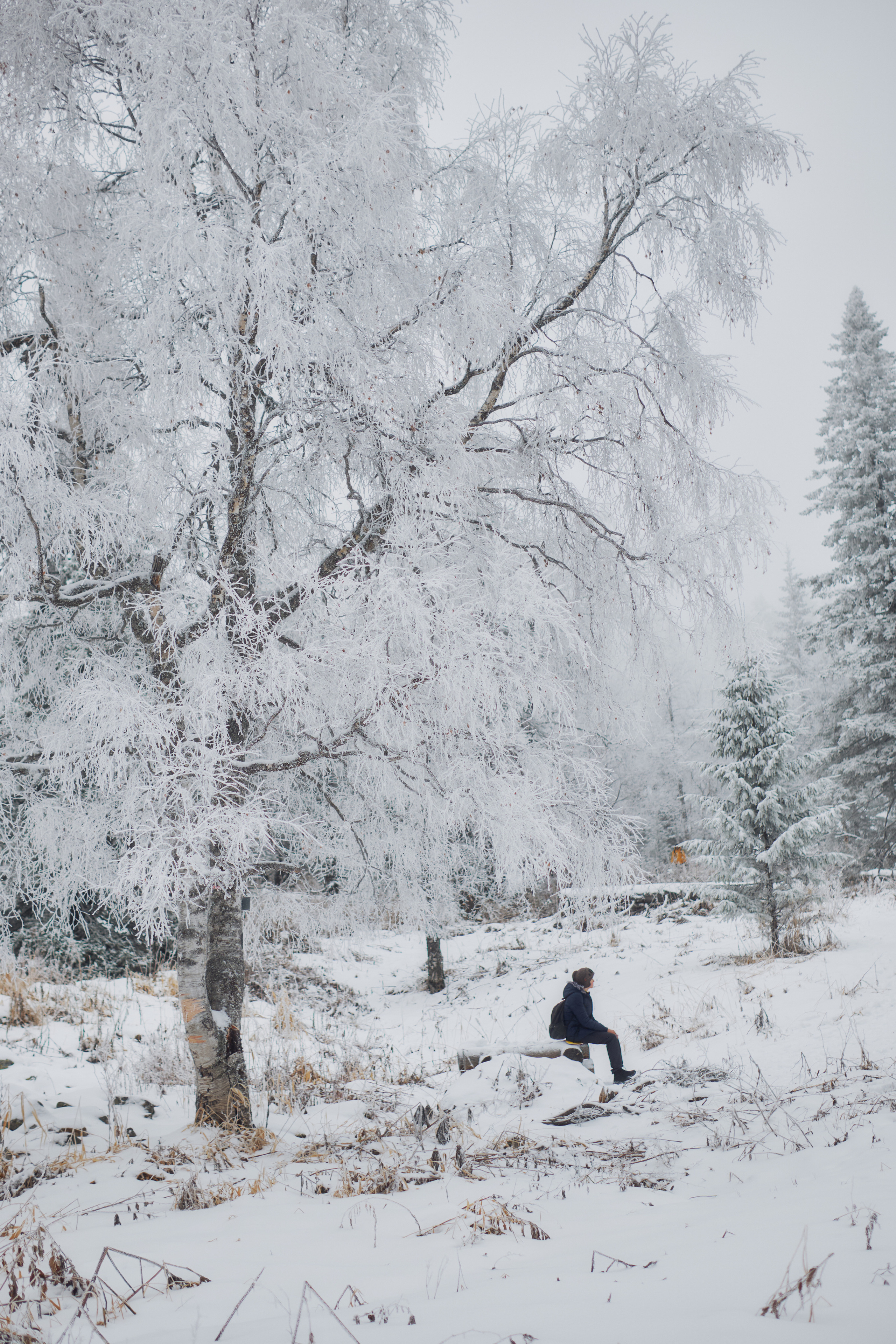 Алимпьев кордон. Andrew Sozonov visual artist