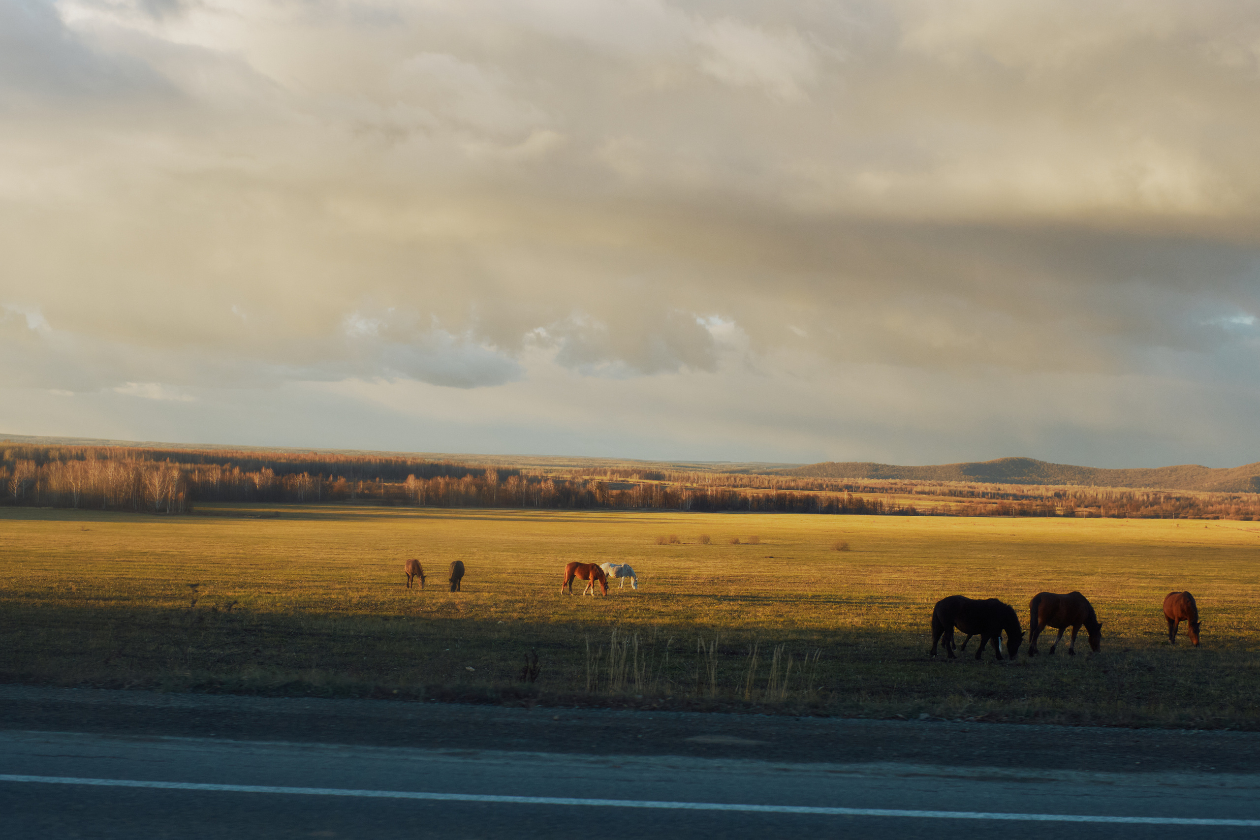 Алимпьев кордон. Andrew Sozonov visual artist